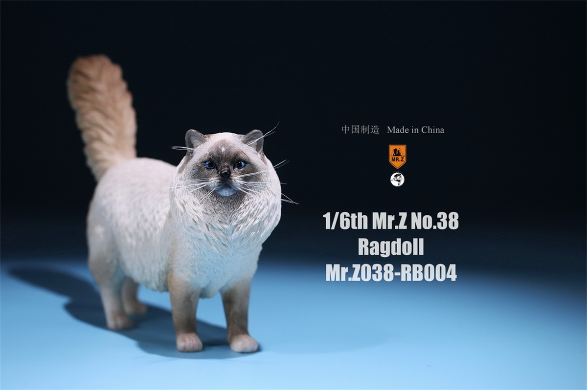 Mr.Z Studio 1:6 Ragdoll Figure Cute Cat Pet Animal Model Resin Collector Decoration Toy Decoration Ornaments Birthday Gift Doll Mr.Z Studio 1:6 Ragdoll Figure Cute Cat Pet Animal Model Resin Collector Decoration Toy Decoration Ornaments Birthday Gift Doll