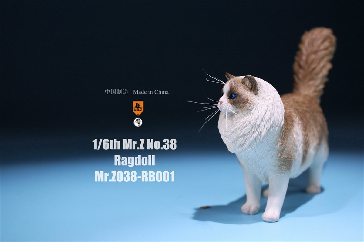 Mr.Z Studio 1:6 Ragdoll Figure Cute Cat Pet Animal Model Resin Collector Decoration Toy Decoration Ornaments Birthday Gift Doll Mr.Z Studio 1:6 Ragdoll Figure Cute Cat Pet Animal Model Resin Collector Decoration Toy Decoration Ornaments Birthday Gift Doll