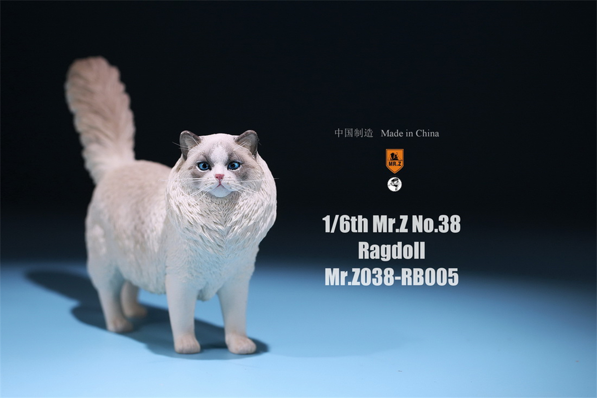 Mr.Z Studio 1:6 Ragdoll Figure Cute Cat Pet Animal Model Resin Collector Decoration Toy Decoration Ornaments Birthday Gift Doll Mr.Z Studio 1:6 Ragdoll Figure Cute Cat Pet Animal Model Resin Collector Decoration Toy Decoration Ornaments Birthday Gift Doll