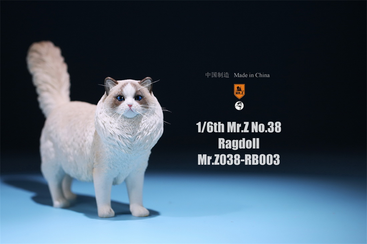 Mr.Z Studio 1:6 Ragdoll Figure Cute Cat Pet Animal Model Resin Collector Decoration Toy Decoration Ornaments Birthday Gift Doll Mr.Z Studio 1:6 Ragdoll Figure Cute Cat Pet Animal Model Resin Collector Decoration Toy Decoration Ornaments Birthday Gift Doll
