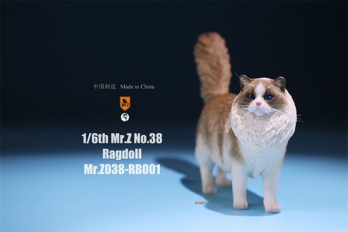 Mr.Z Studio 1:6 Ragdoll Figure Cute Cat Pet Animal Model Resin Collector Decoration Toy Decoration Ornaments Birthday Gift Doll Mr.Z Studio 1:6 Ragdoll Figure Cute Cat Pet Animal Model Resin Collector Decoration Toy Decoration Ornaments Birthday Gift Doll