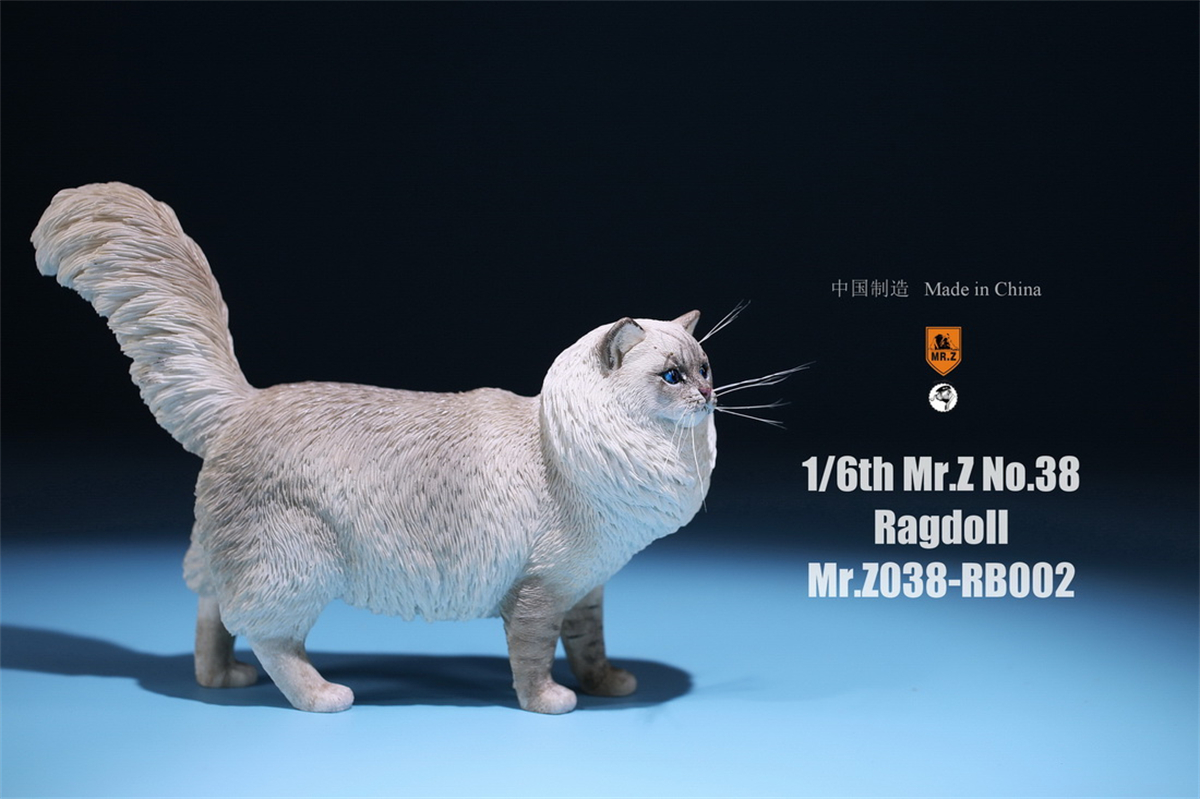 Mr.Z Studio 1:6 Ragdoll Figure Cute Cat Pet Animal Model Resin Collector Decoration Toy Decoration Ornaments Birthday Gift Doll Mr.Z Studio 1:6 Ragdoll Figure Cute Cat Pet Animal Model Resin Collector Decoration Toy Decoration Ornaments Birthday Gift Doll