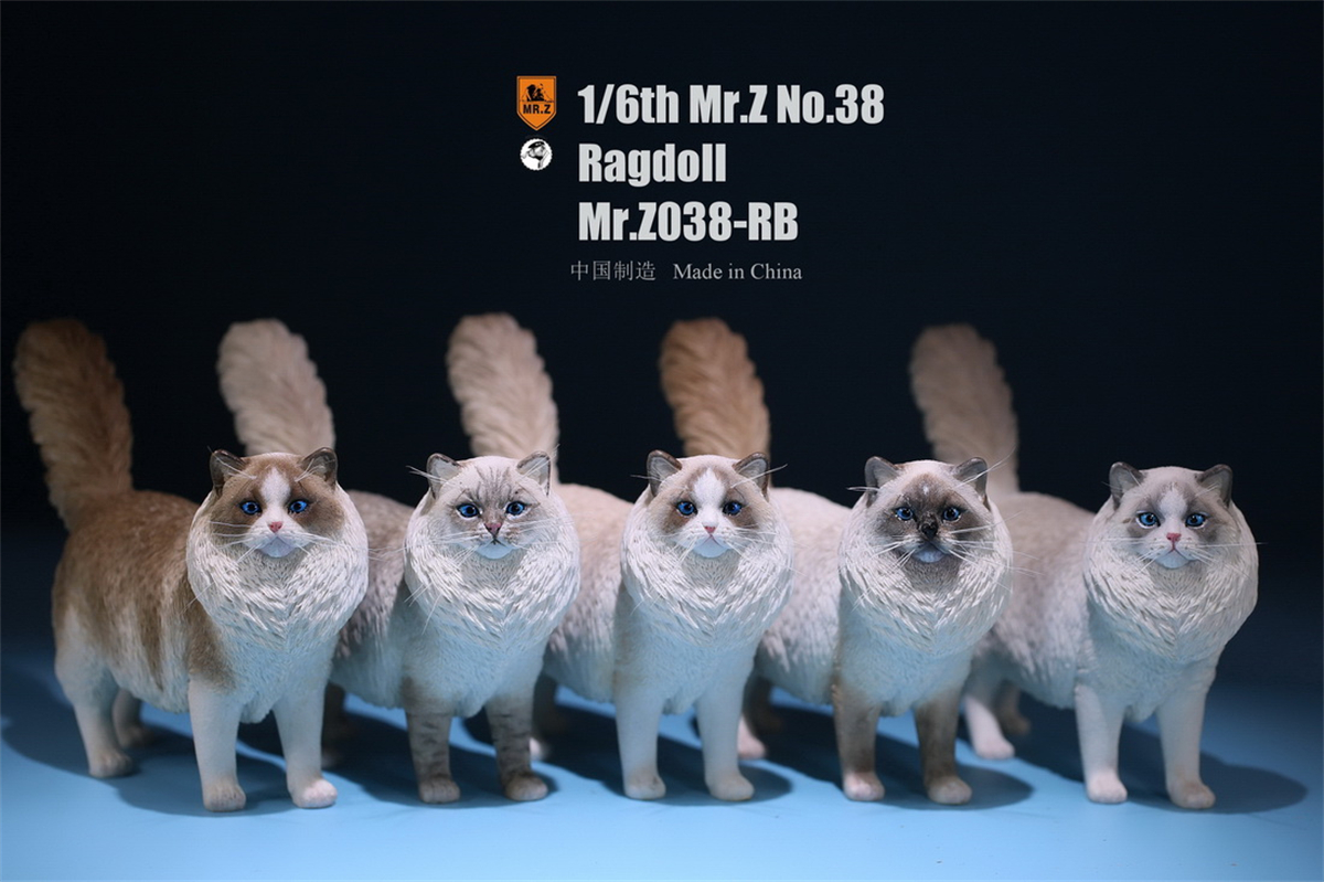 Mr.Z Studio 1:6 Ragdoll Figure Cute Cat Pet Animal Model Resin Collector Decoration Toy Decoration Ornaments Birthday Gift Doll Mr.Z Studio 1:6 Ragdoll Figure Cute Cat Pet Animal Model Resin Collector Decoration Toy Decoration Ornaments Birthday Gift Doll