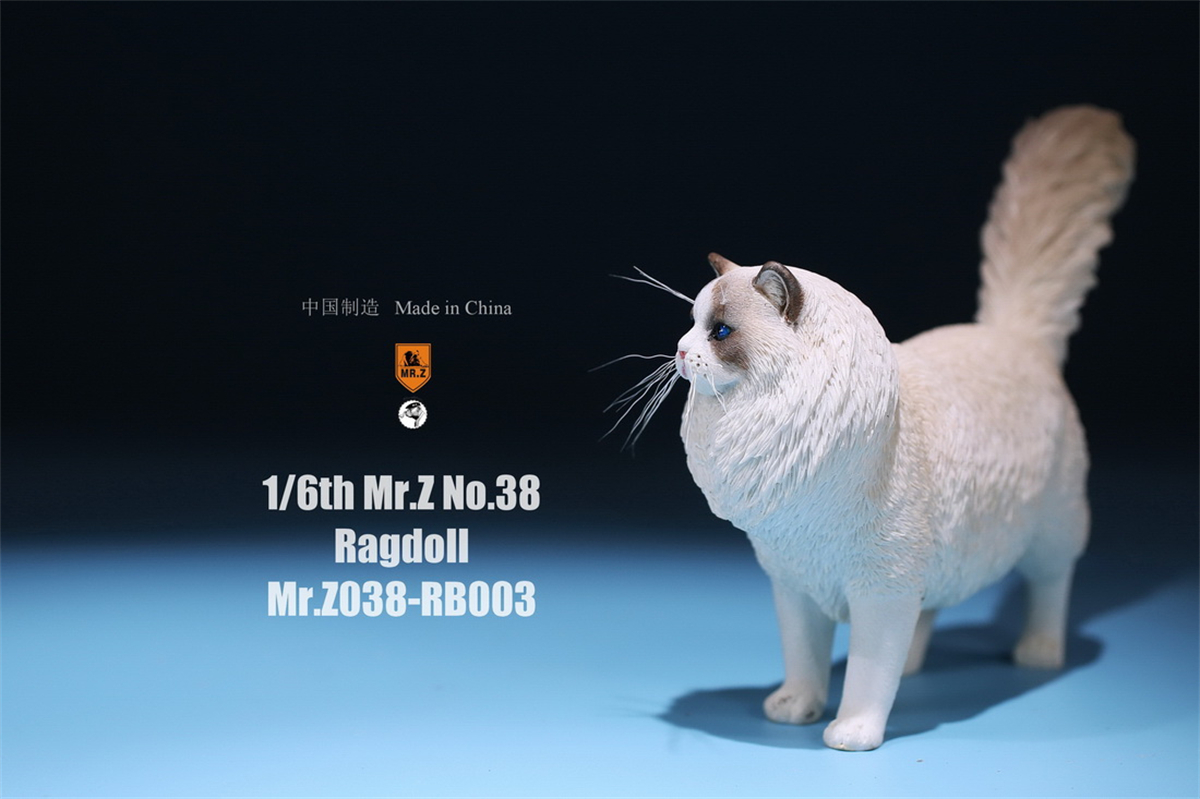 Mr.Z Studio 1:6 Ragdoll Figure Cute Cat Pet Animal Model Resin Collector Decoration Toy Decoration Ornaments Birthday Gift Doll Mr.Z Studio 1:6 Ragdoll Figure Cute Cat Pet Animal Model Resin Collector Decoration Toy Decoration Ornaments Birthday Gift Doll