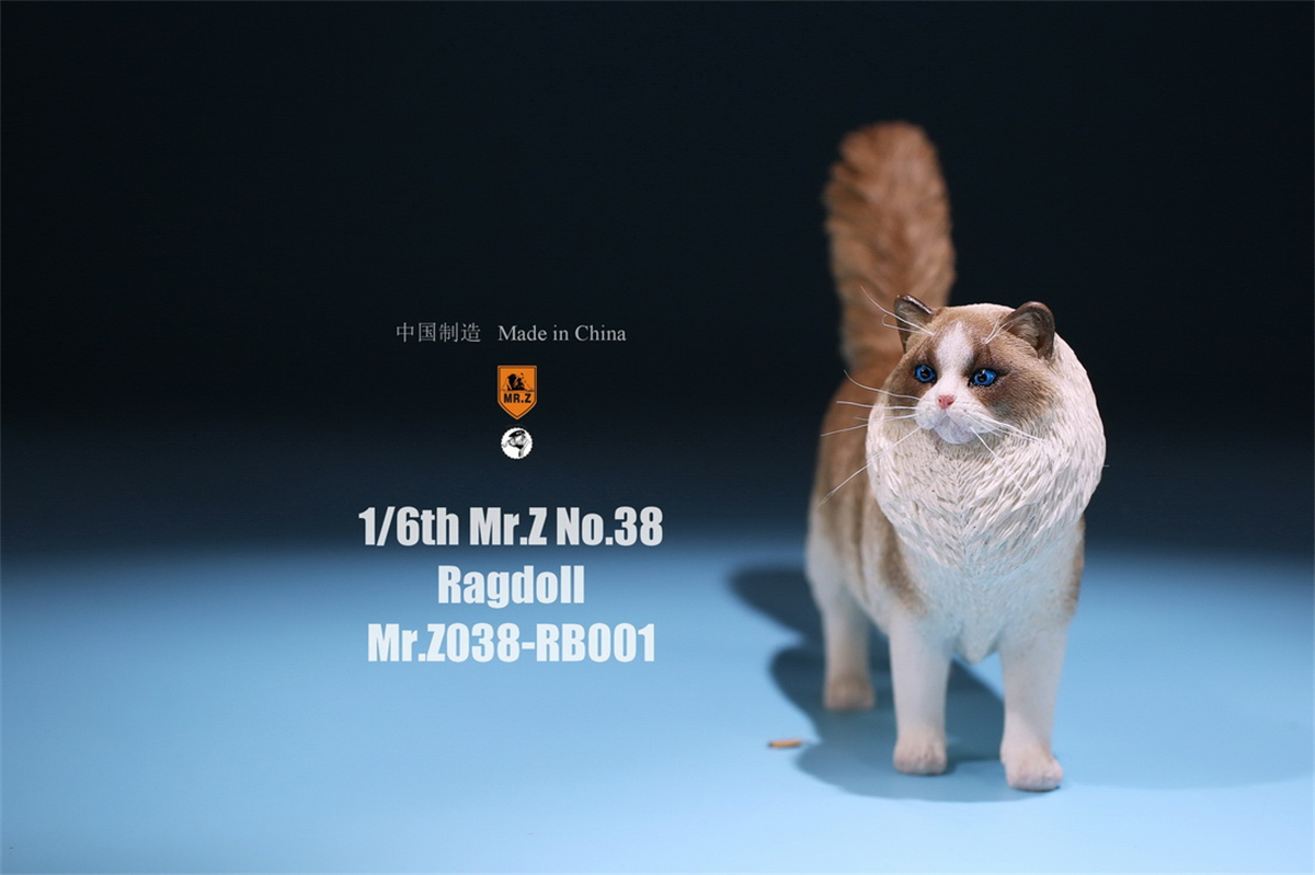 Mr.Z Studio 1:6 Ragdoll Figure Cute Cat Pet Animal Model Resin Collector Decoration Toy Decoration Ornaments Birthday Gift Doll Mr.Z Studio 1:6 Ragdoll Figure Cute Cat Pet Animal Model Resin Collector Decoration Toy Decoration Ornaments Birthday Gift Doll