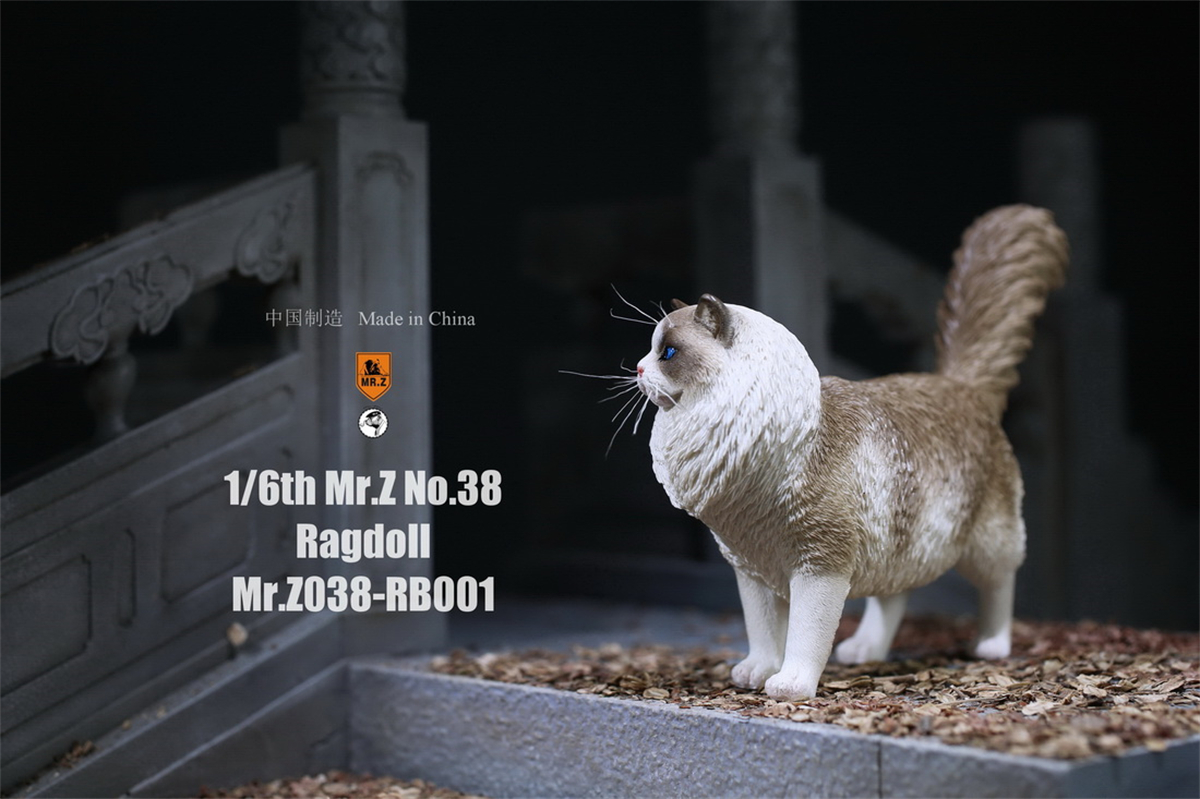 Mr.Z Studio 1:6 Ragdoll Figure Cute Cat Pet Animal Model Resin Collector Decoration Toy Decoration Ornaments Birthday Gift Doll Mr.Z Studio 1:6 Ragdoll Figure Cute Cat Pet Animal Model Resin Collector Decoration Toy Decoration Ornaments Birthday Gift Doll