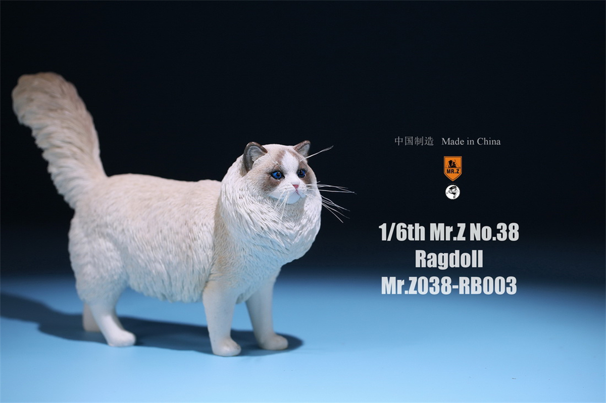 Mr.Z Studio 1:6 Ragdoll Figure Cute Cat Pet Animal Model Resin Collector Decoration Toy Decoration Ornaments Birthday Gift Doll Mr.Z Studio 1:6 Ragdoll Figure Cute Cat Pet Animal Model Resin Collector Decoration Toy Decoration Ornaments Birthday Gift Doll