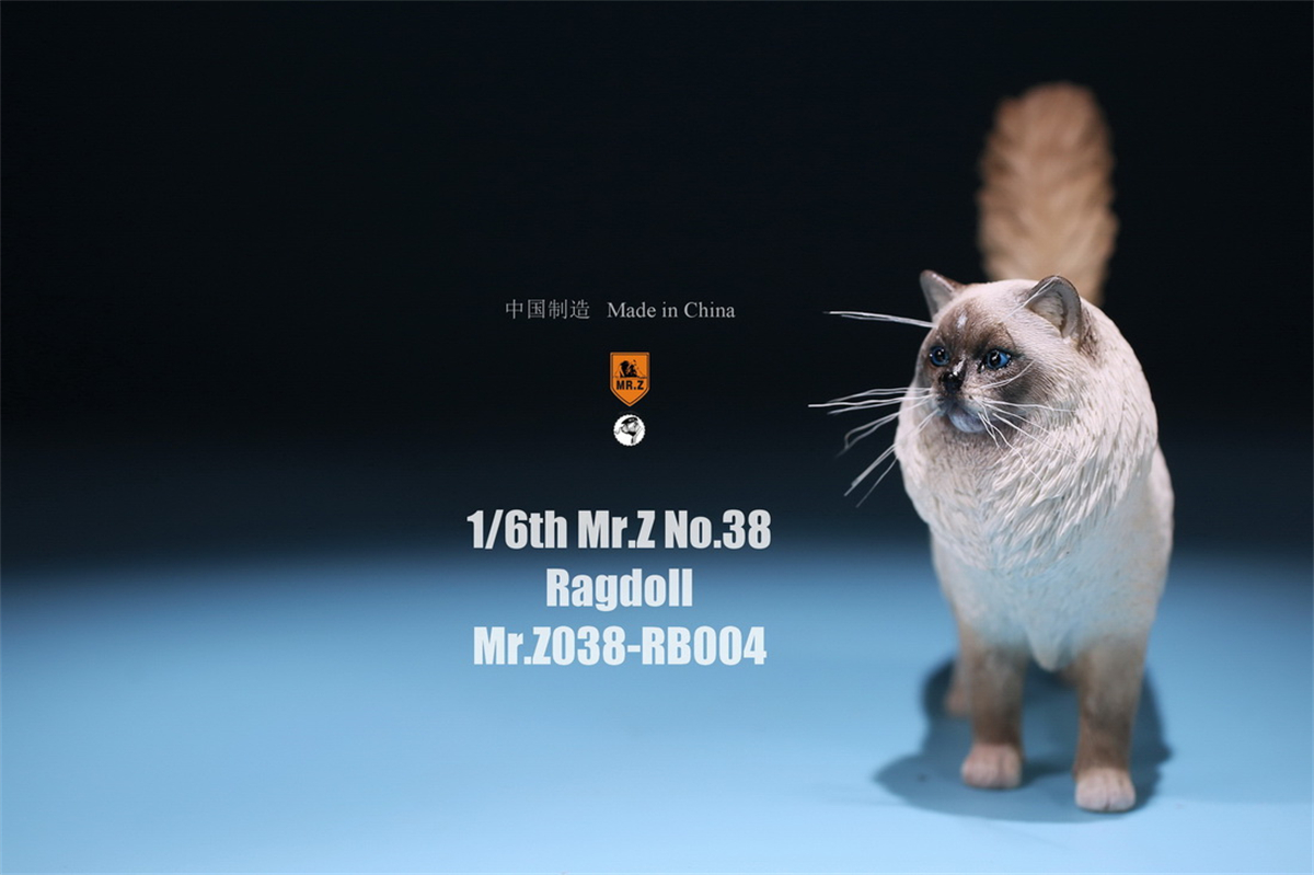 Mr.Z Studio 1:6 Ragdoll Figure Cute Cat Pet Animal Model Resin Collector Decoration Toy Decoration Ornaments Birthday Gift Doll Mr.Z Studio 1:6 Ragdoll Figure Cute Cat Pet Animal Model Resin Collector Decoration Toy Decoration Ornaments Birthday Gift Doll