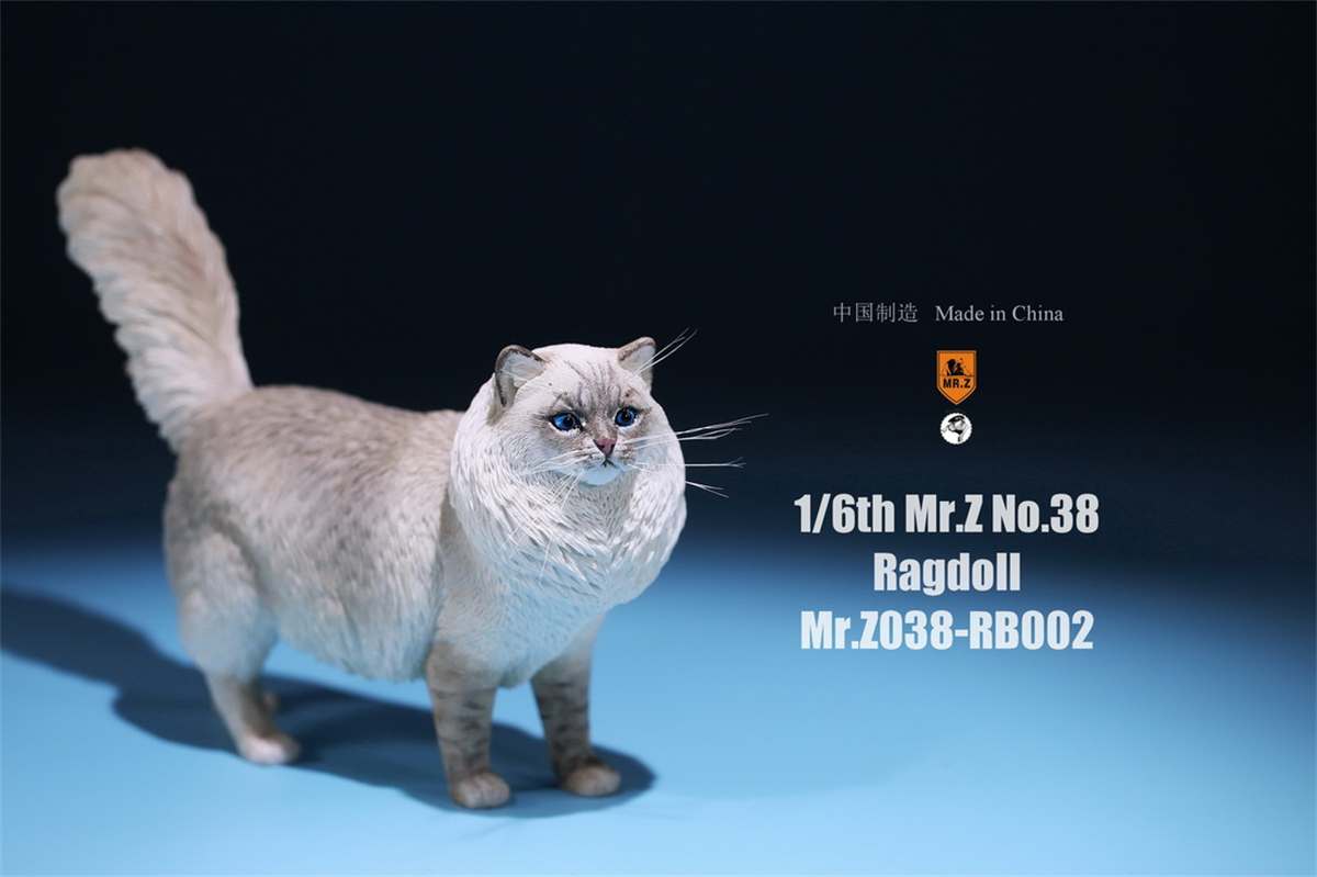 Mr.Z Studio 1:6 Ragdoll Figure Cute Cat Pet Animal Model Resin Collector Decoration Toy Decoration Ornaments Birthday Gift Doll Mr.Z Studio 1:6 Ragdoll Figure Cute Cat Pet Animal Model Resin Collector Decoration Toy Decoration Ornaments Birthday Gift Doll