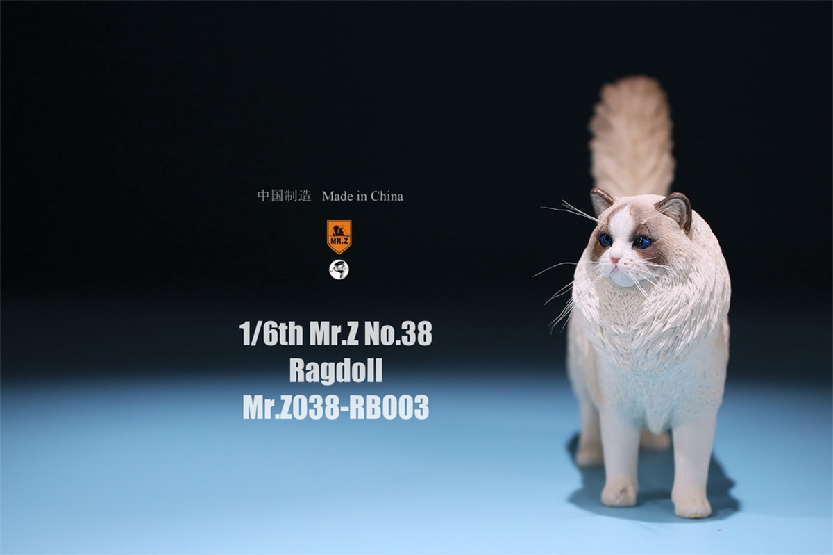 Mr.Z Studio 1:6 Ragdoll Figure Cute Cat Pet Animal Model Resin Collector Decoration Toy Decoration Ornaments Birthday Gift Doll Mr.Z Studio 1:6 Ragdoll Figure Cute Cat Pet Animal Model Resin Collector Decoration Toy Decoration Ornaments Birthday Gift Doll