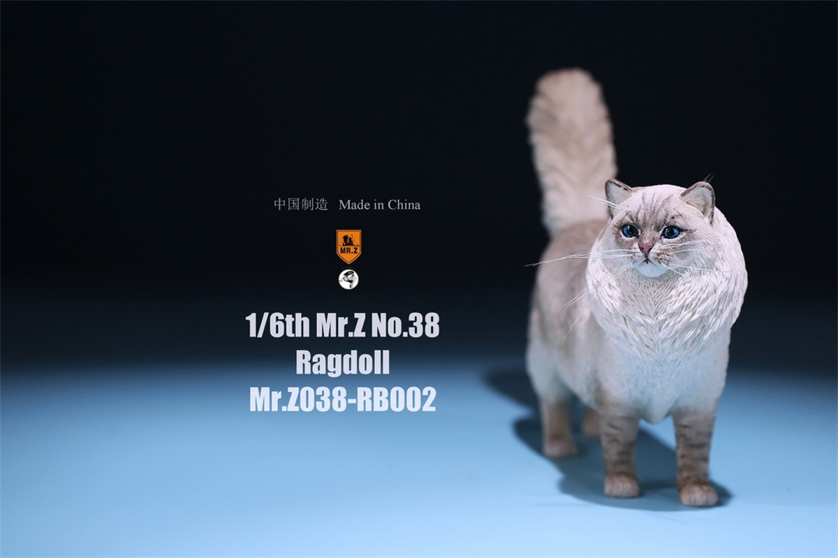 Mr.Z Studio 1:6 Ragdoll Figure Cute Cat Pet Animal Model Resin Collector Decoration Toy Decoration Ornaments Birthday Gift Doll Mr.Z Studio 1:6 Ragdoll Figure Cute Cat Pet Animal Model Resin Collector Decoration Toy Decoration Ornaments Birthday Gift Doll