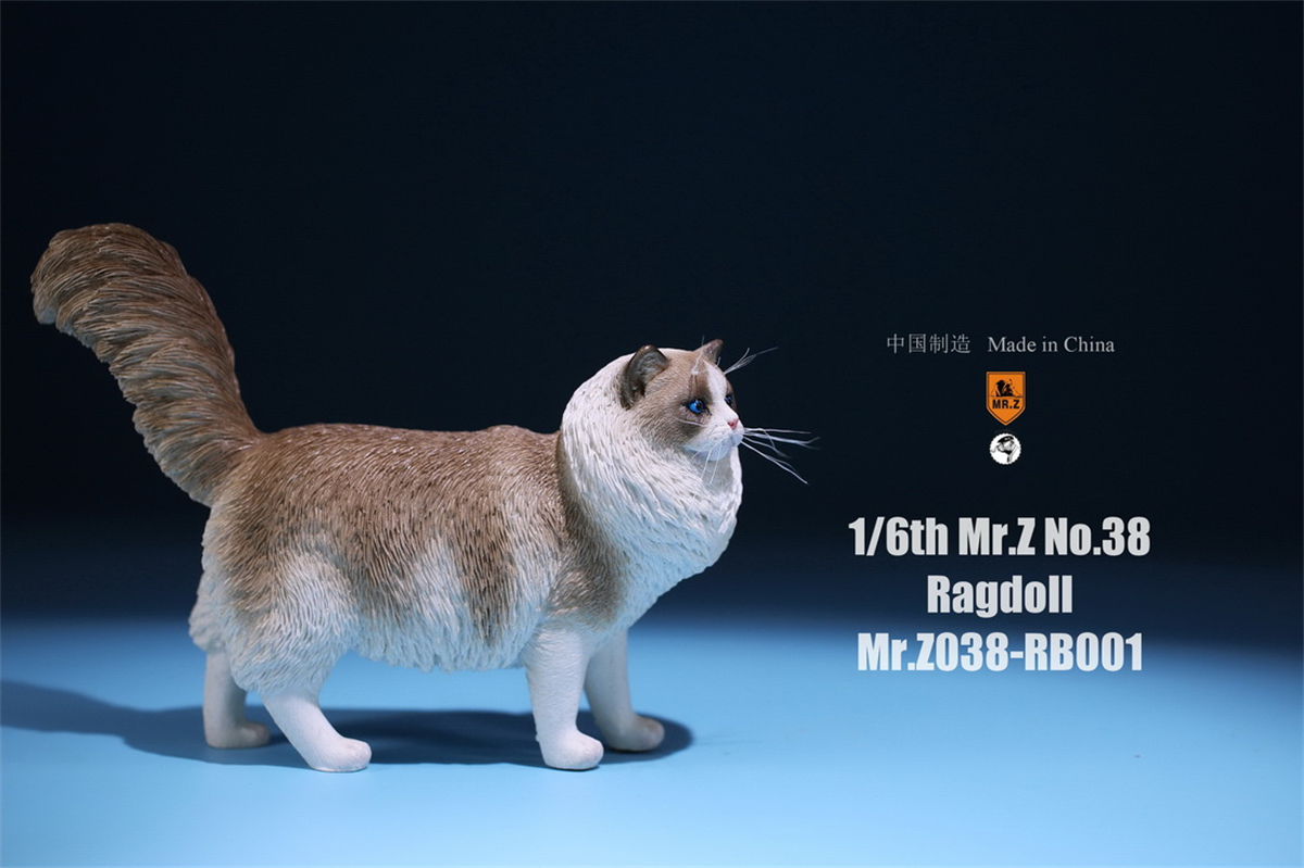 Mr.Z Studio 1:6 Ragdoll Figure Cute Cat Pet Animal Model Resin Collector Decoration Toy Decoration Ornaments Birthday Gift Doll Mr.Z Studio 1:6 Ragdoll Figure Cute Cat Pet Animal Model Resin Collector Decoration Toy Decoration Ornaments Birthday Gift Doll