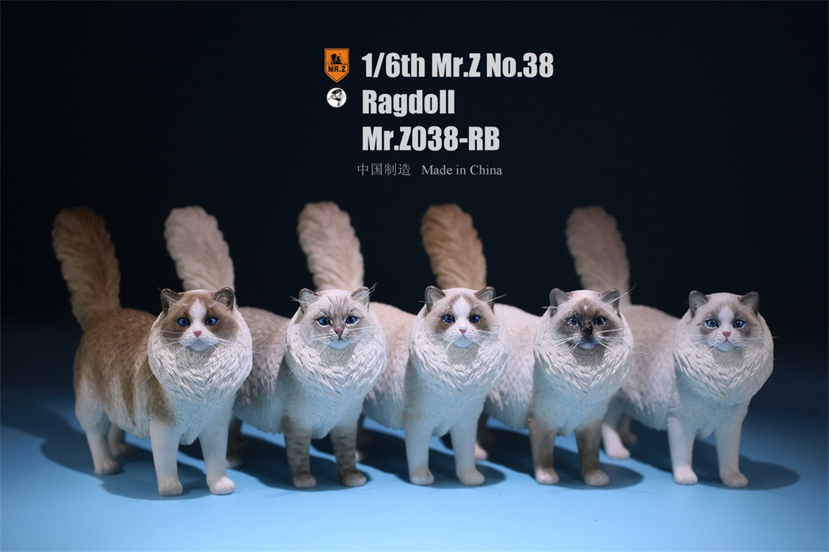 Mr.Z Studio 1:6 Ragdoll Figure Cute Cat Pet Animal Model Resin Collector Decoration Toy Decoration Ornaments Birthday Gift Doll Mr.Z Studio 1:6 Ragdoll Figure Cute Cat Pet Animal Model Resin Collector Decoration Toy Decoration Ornaments Birthday Gift Doll