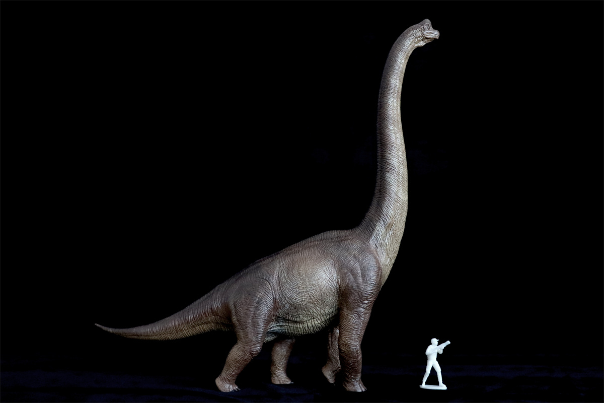 Nanmu Studio Walking Brachiosaurus Watchmen Full-length Portrait Dinosaur Model Sauropsida Animal Collector Decoration Gift Toy Nanmu Studio Walking Brachiosaurus Watchmen Full-length Portrait Dinosaur Model Sauropsida Animal Collector Decoration Gift Toy