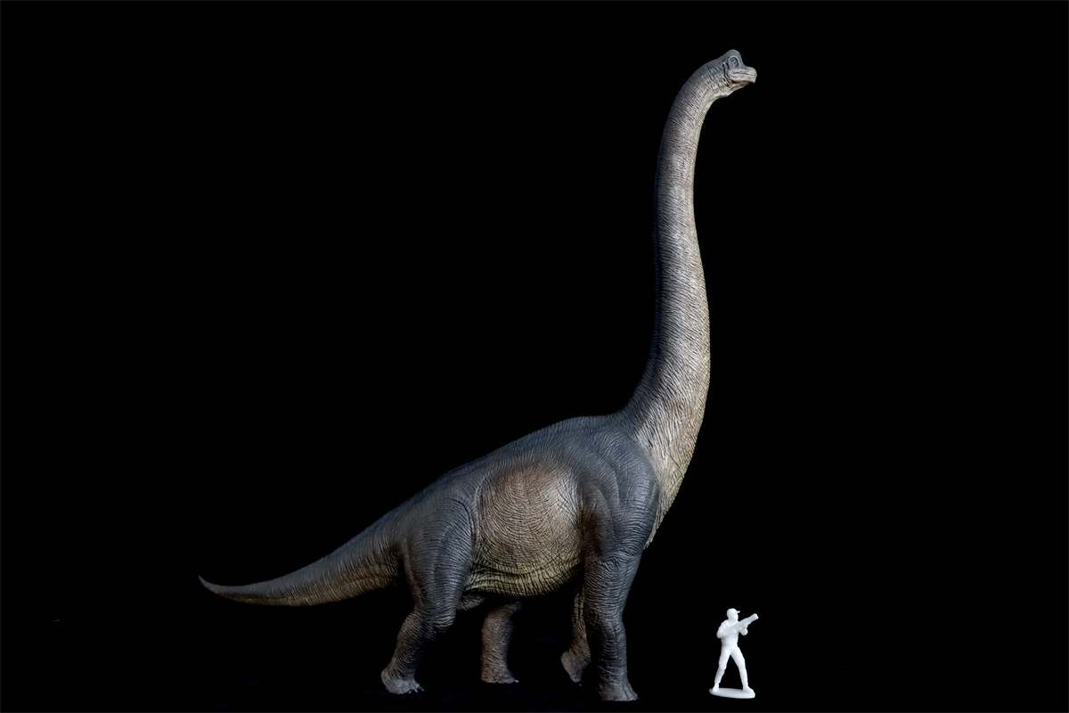 Nanmu Studio Walking Brachiosaurus Watchmen Full-length Portrait Dinosaur Model Sauropsida Animal Collector Decoration Gift Toy Nanmu Studio Walking Brachiosaurus Watchmen Full-length Portrait Dinosaur Model Sauropsida Animal Collector Decoration Gift Toy