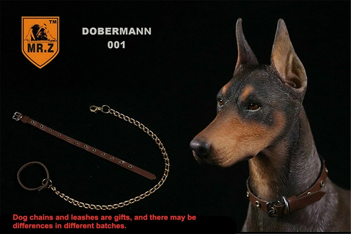 Mr.Z 1/6 Dobermann Figure Pet Dog Animal Model Police Dog Model Education Figures Collector Decoration Ornaments Kid Gift Mr.Z 1/6 Dobermann Figure Pet Dog Animal Model Police Dog Model Education Figures Collector Decoration Ornaments Kid Gift