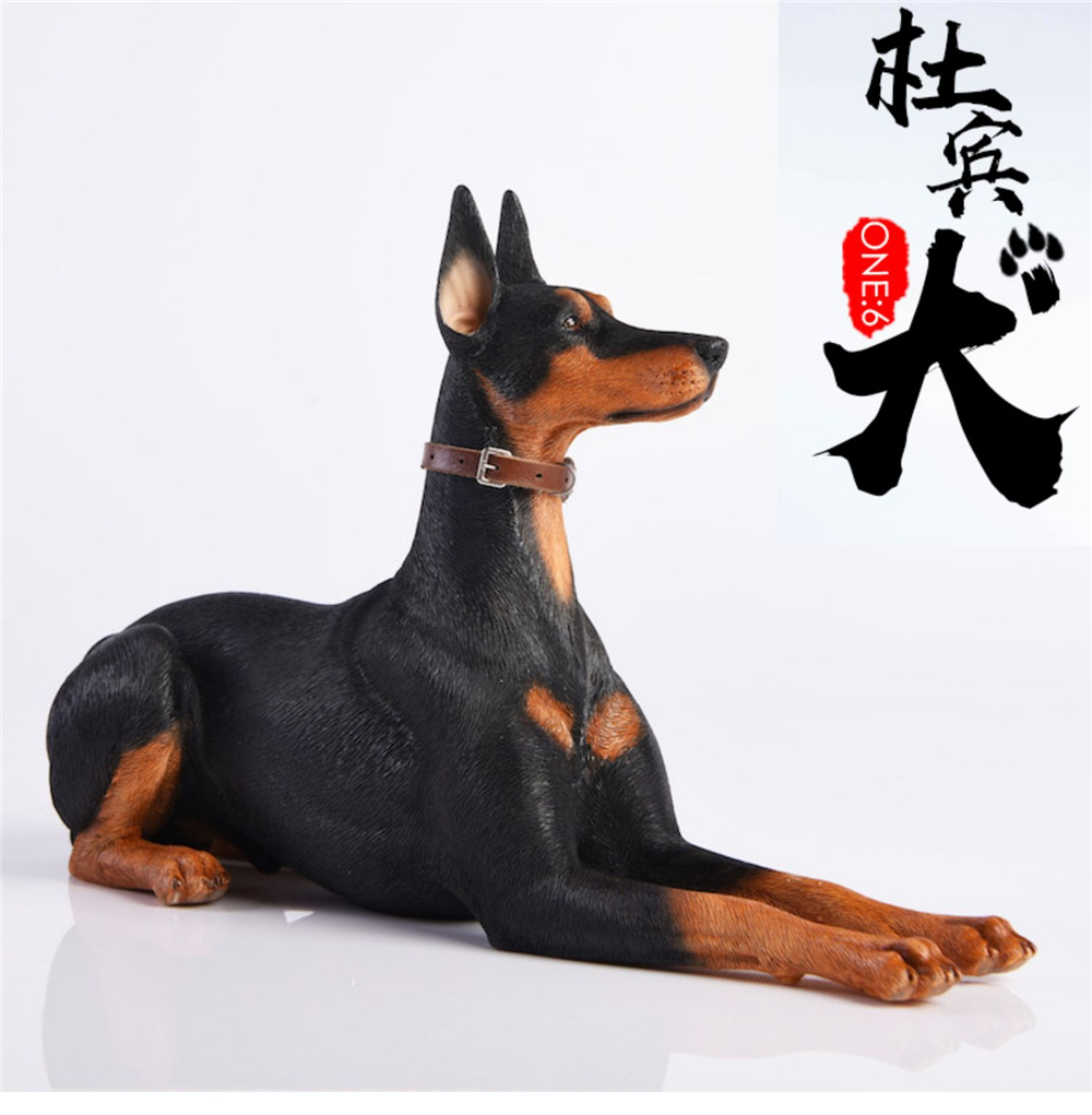 JxK 1:6 Scale Doberman Pinscher Hunter Dog Pet Healing Figure Canidae Animal Collector Toy Resin Desktop Decoration Gift