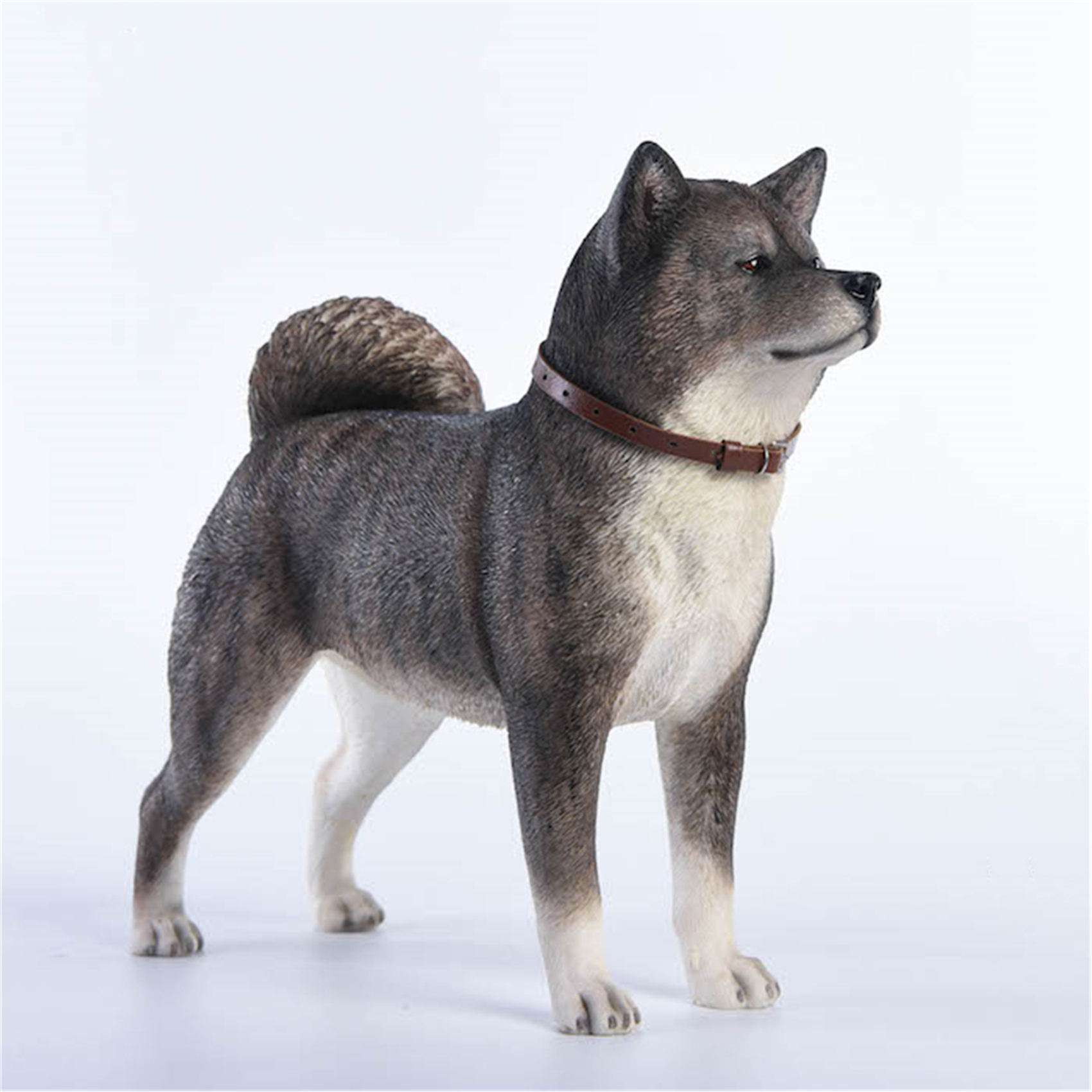JxK 1:6 Scale Japanese Akita Dog Pet Figure Healing Figure Canidae Animal Collector Toy Resin Desktop Decoration Gift JxK 1:6 Scale Japanese Akita Dog Pet Figure Healing Figure Canidae Animal Collector Toy Resin Desktop Decoration Gift