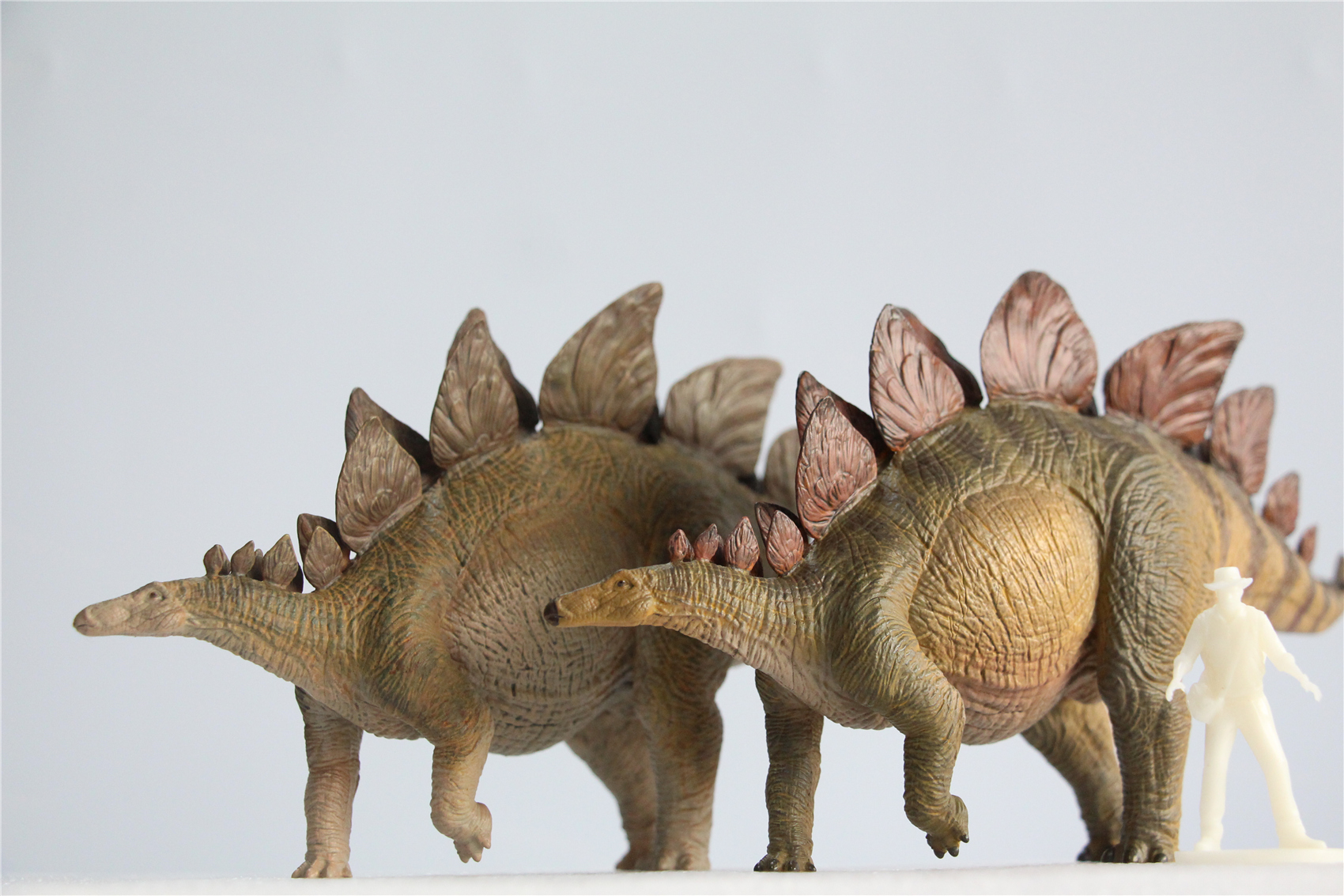 IN STOCK Nanmu 1/35 Stegosaurus Pike Figure Stegosauridae Dinosaur Collection Animal Toys Gift For Kids Adults Retail Box IN STOCK Nanmu 1/35 Stegosaurus Pike Figure Stegosauridae Dinosaur Collection Animal Toys Gift For Kids Adults Retail Box