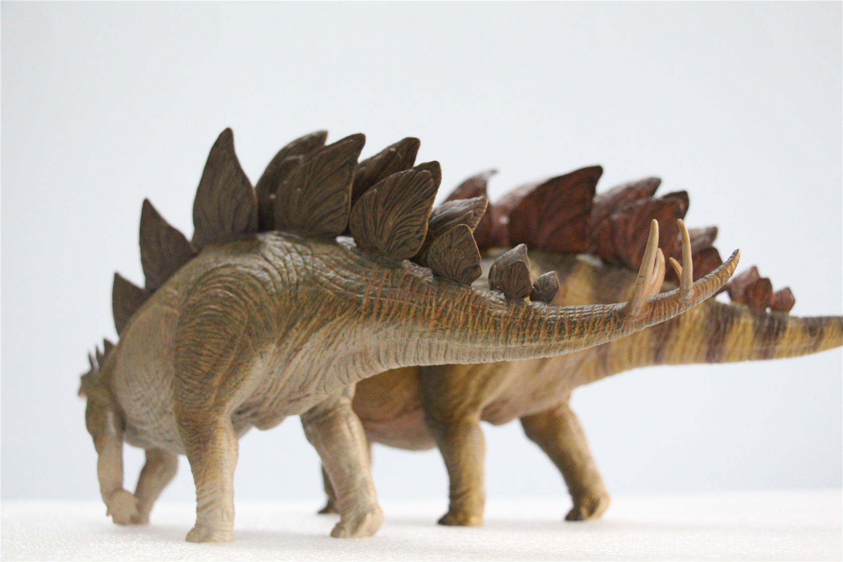 IN STOCK Nanmu 1/35 Stegosaurus Pike Figure Stegosauridae Dinosaur Collection Animal Toys Gift For Kids Adults Retail Box IN STOCK Nanmu 1/35 Stegosaurus Pike Figure Stegosauridae Dinosaur Collection Animal Toys Gift For Kids Adults Retail Box