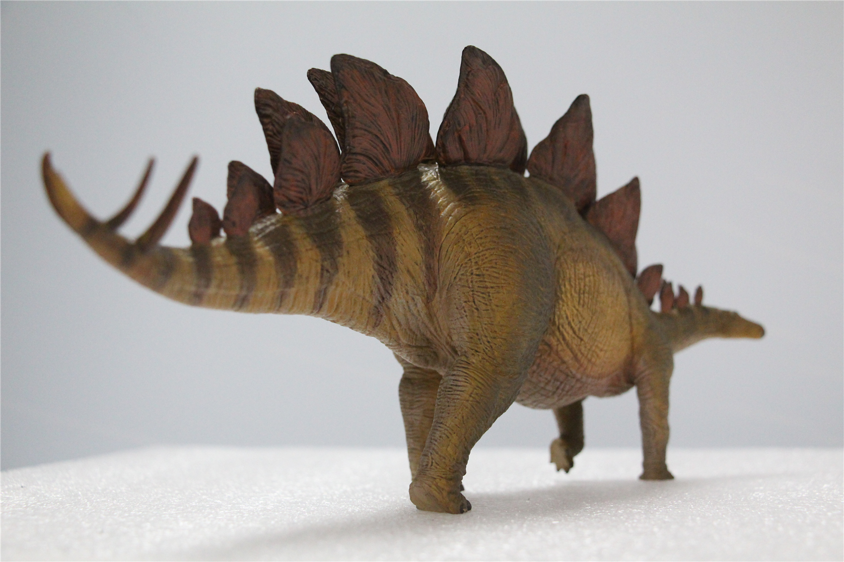 IN STOCK Nanmu 1/35 Stegosaurus Pike Figure Stegosauridae Dinosaur Collection Animal Toys Gift For Kids Adults Retail Box IN STOCK Nanmu 1/35 Stegosaurus Pike Figure Stegosauridae Dinosaur Collection Animal Toys Gift For Kids Adults Retail Box