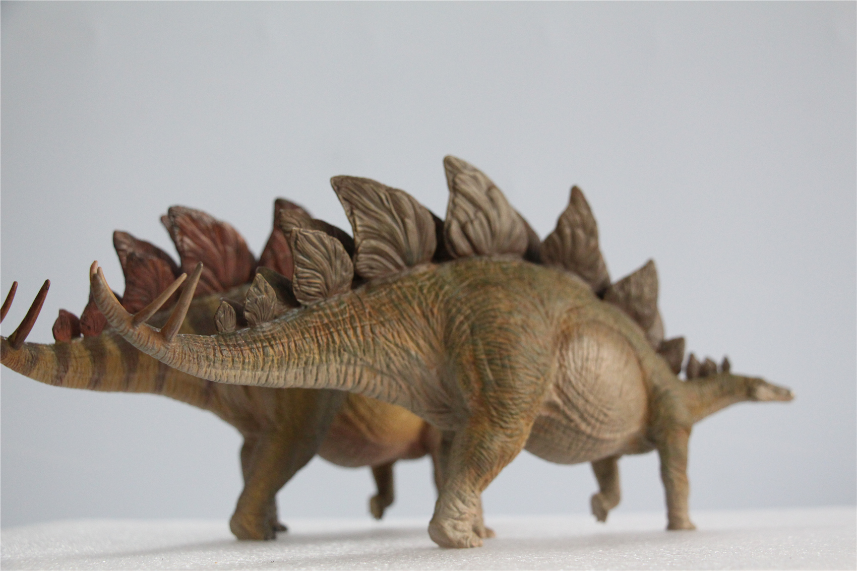 IN STOCK Nanmu 1/35 Stegosaurus Pike Figure Stegosauridae Dinosaur Collection Animal Toys Gift For Kids Adults Retail Box IN STOCK Nanmu 1/35 Stegosaurus Pike Figure Stegosauridae Dinosaur Collection Animal Toys Gift For Kids Adults Retail Box