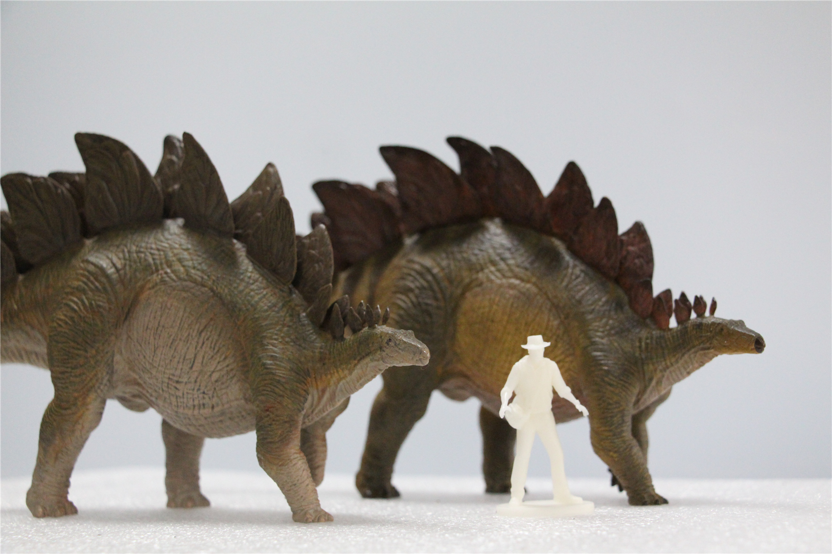IN STOCK Nanmu 1/35 Stegosaurus Pike Figure Stegosauridae Dinosaur Collection Animal Toys Gift For Kids Adults Retail Box IN STOCK Nanmu 1/35 Stegosaurus Pike Figure Stegosauridae Dinosaur Collection Animal Toys Gift For Kids Adults Retail Box