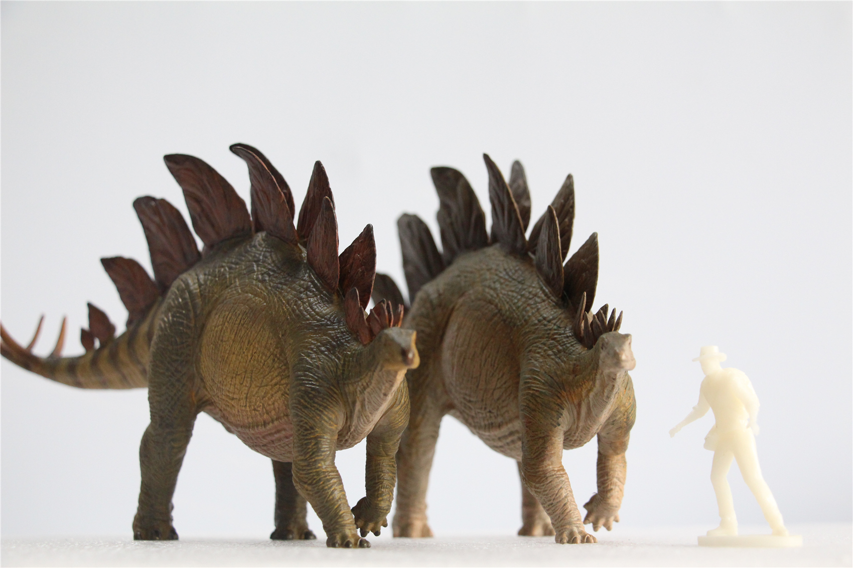 IN STOCK Nanmu 1/35 Stegosaurus Pike Figure Stegosauridae Dinosaur Collection Animal Toys Gift For Kids Adults Retail Box IN STOCK Nanmu 1/35 Stegosaurus Pike Figure Stegosauridae Dinosaur Collection Animal Toys Gift For Kids Adults Retail Box