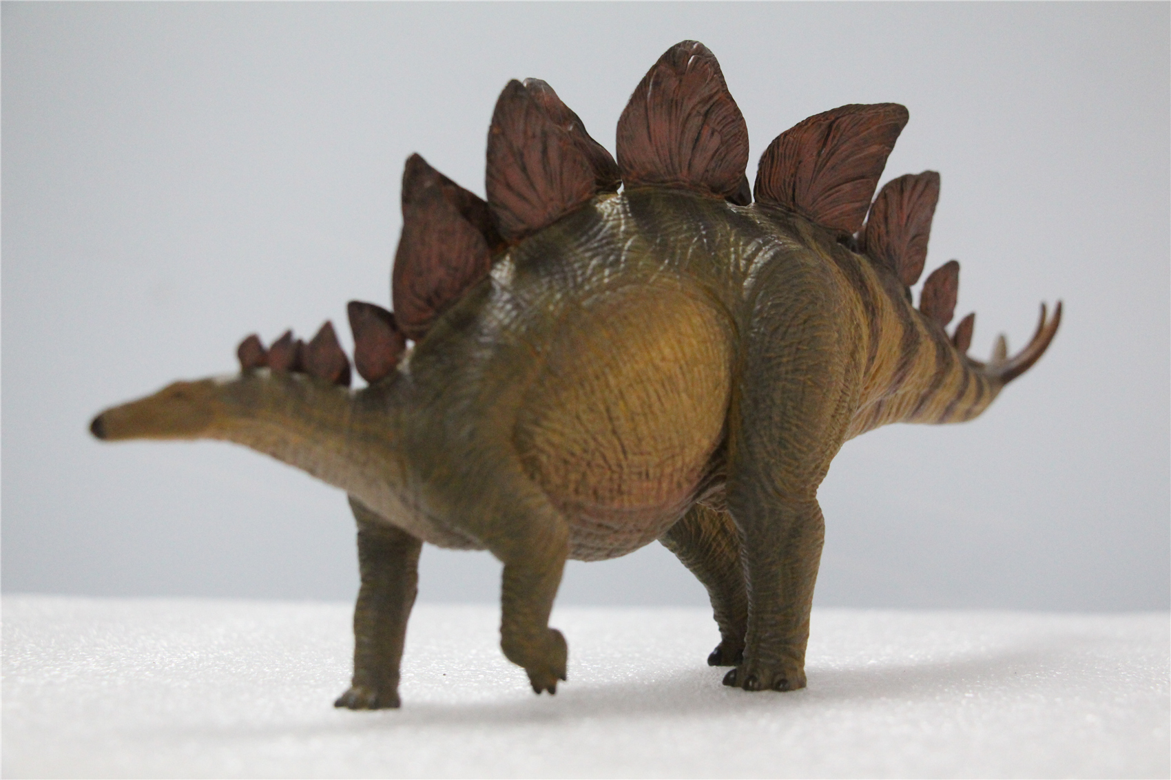 IN STOCK Nanmu 1/35 Stegosaurus Pike Figure Stegosauridae Dinosaur Collection Animal Toys Gift For Kids Adults Retail Box IN STOCK Nanmu 1/35 Stegosaurus Pike Figure Stegosauridae Dinosaur Collection Animal Toys Gift For Kids Adults Retail Box