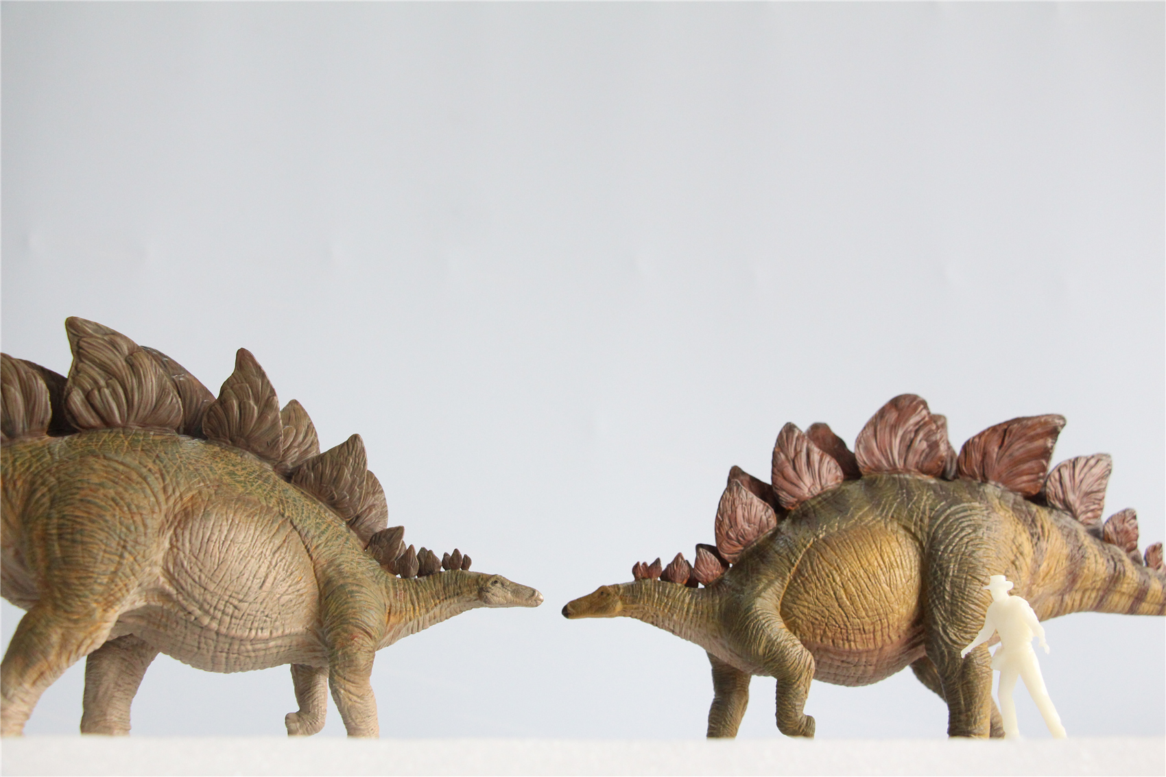 IN STOCK Nanmu 1/35 Stegosaurus Pike Figure Stegosauridae Dinosaur Collection Animal Toys Gift For Kids Adults Retail Box IN STOCK Nanmu 1/35 Stegosaurus Pike Figure Stegosauridae Dinosaur Collection Animal Toys Gift For Kids Adults Retail Box