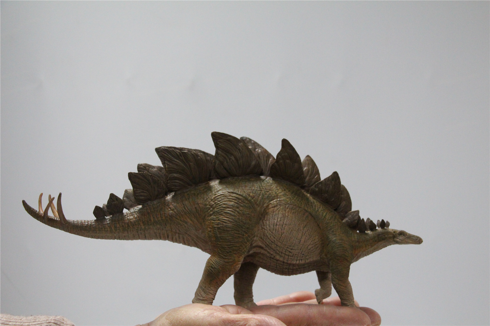 IN STOCK Nanmu 1/35 Stegosaurus Pike Figure Stegosauridae Dinosaur Collection Animal Toys Gift For Kids Adults Retail Box IN STOCK Nanmu 1/35 Stegosaurus Pike Figure Stegosauridae Dinosaur Collection Animal Toys Gift For Kids Adults Retail Box
