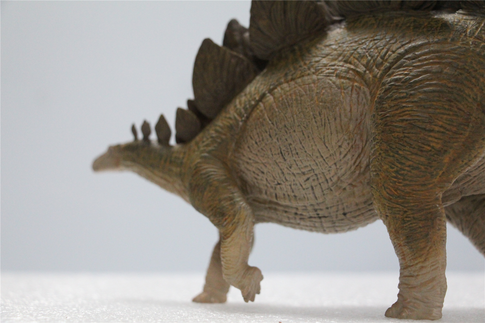 IN STOCK Nanmu 1/35 Stegosaurus Pike Figure Stegosauridae Dinosaur Collection Animal Toys Gift For Kids Adults Retail Box IN STOCK Nanmu 1/35 Stegosaurus Pike Figure Stegosauridae Dinosaur Collection Animal Toys Gift For Kids Adults Retail Box