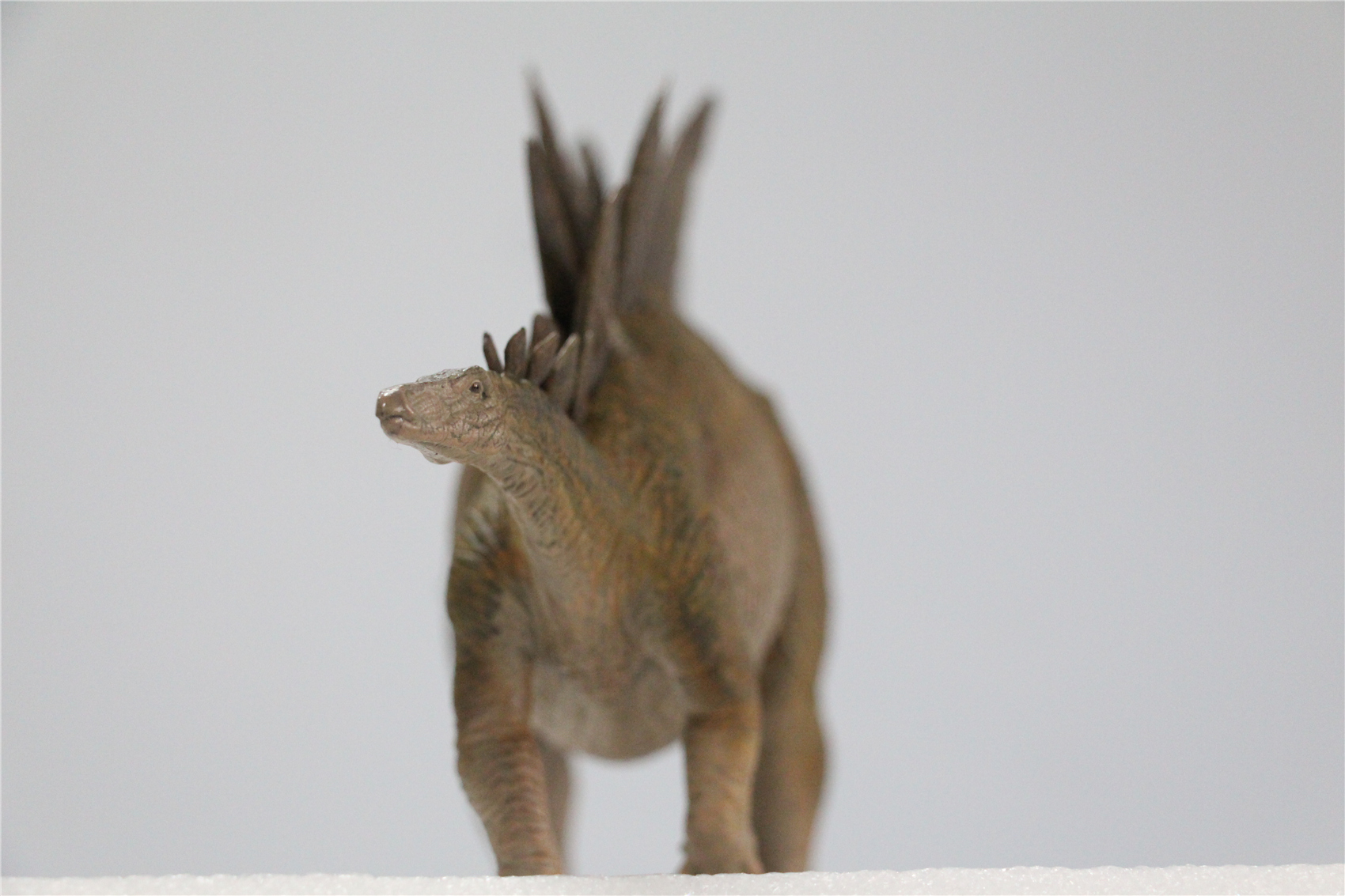 IN STOCK Nanmu 1/35 Stegosaurus Pike Figure Stegosauridae Dinosaur Collection Animal Toys Gift For Kids Adults Retail Box IN STOCK Nanmu 1/35 Stegosaurus Pike Figure Stegosauridae Dinosaur Collection Animal Toys Gift For Kids Adults Retail Box