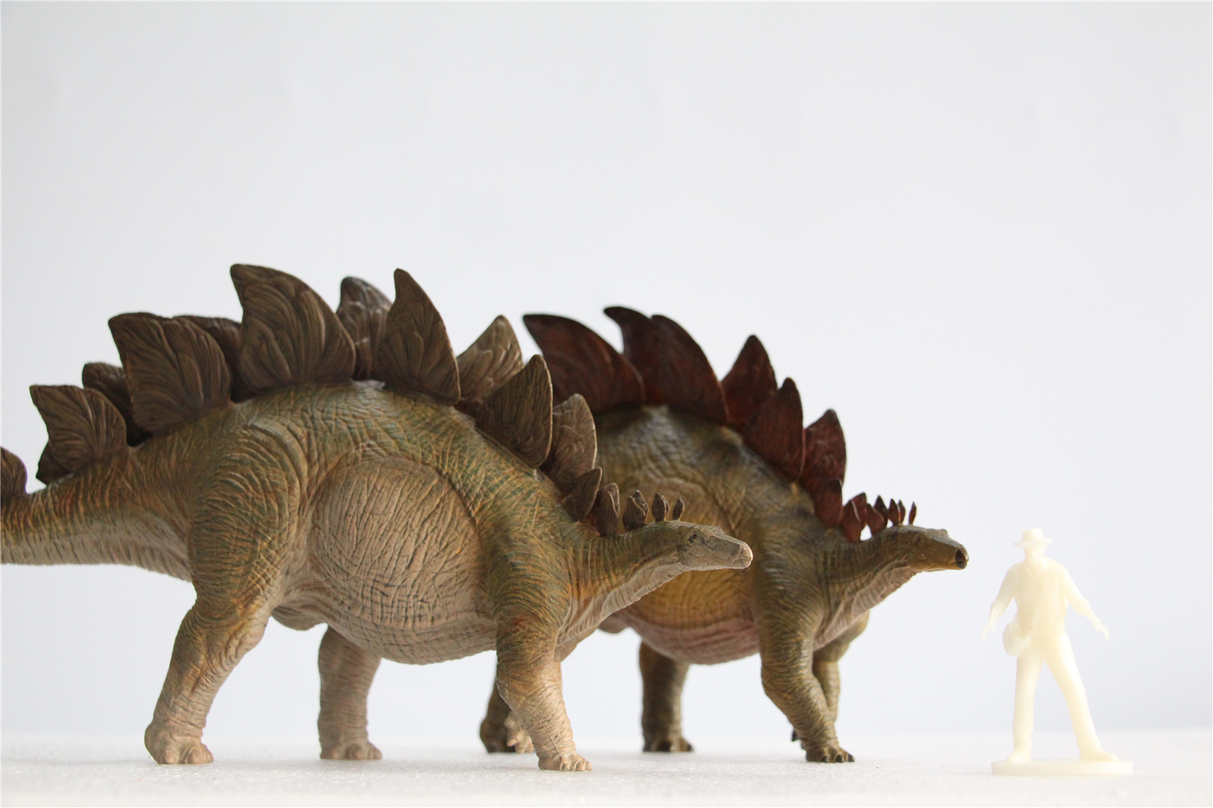IN STOCK Nanmu 1/35 Stegosaurus Pike Figure Stegosauridae Dinosaur Collection Animal Toys Gift For Kids Adults Retail Box IN STOCK Nanmu 1/35 Stegosaurus Pike Figure Stegosauridae Dinosaur Collection Animal Toys Gift For Kids Adults Retail Box