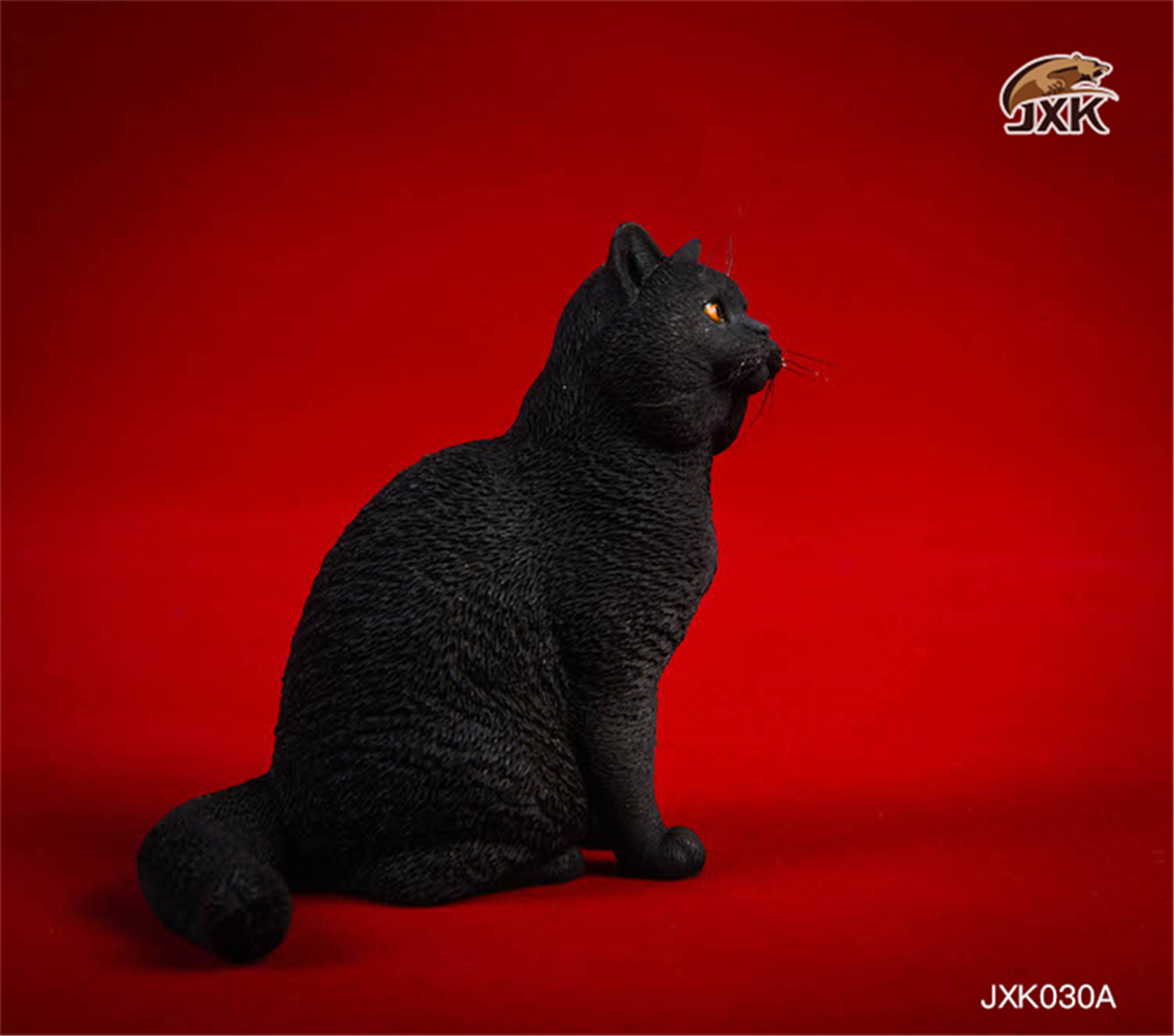 JXK 1:6 Scale British Shorthair Cat Figure Cute Pet Healing Figure Canidae Animal Collector Toy Resin Desktop Decoration Gift JXK 1:6 Scale British Shorthair Cat Figure Cute Pet Healing Figure Canidae Animal Collector Toy Resin Desktop Decoration Gift