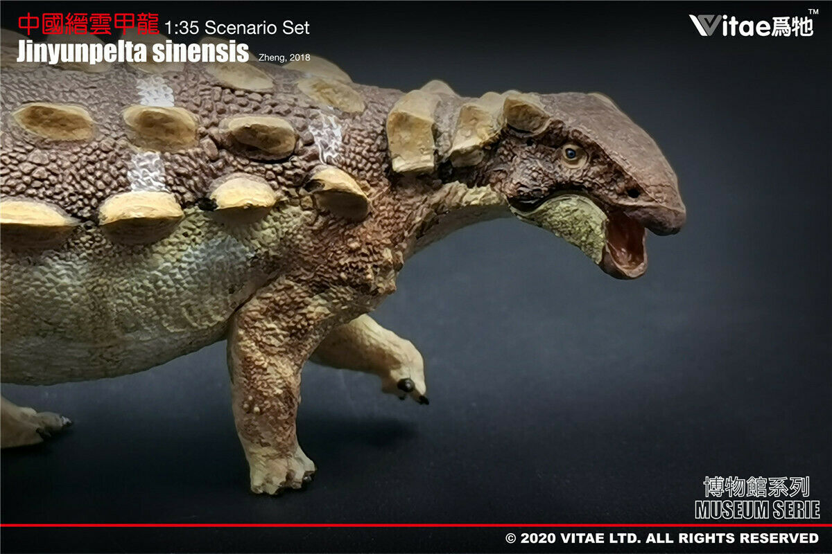 Vitae 1:35 Scale Jinyunpelta Sinensis Model Ankylosaur Dinosaur Toys Animal Collector Animal Adults Gift