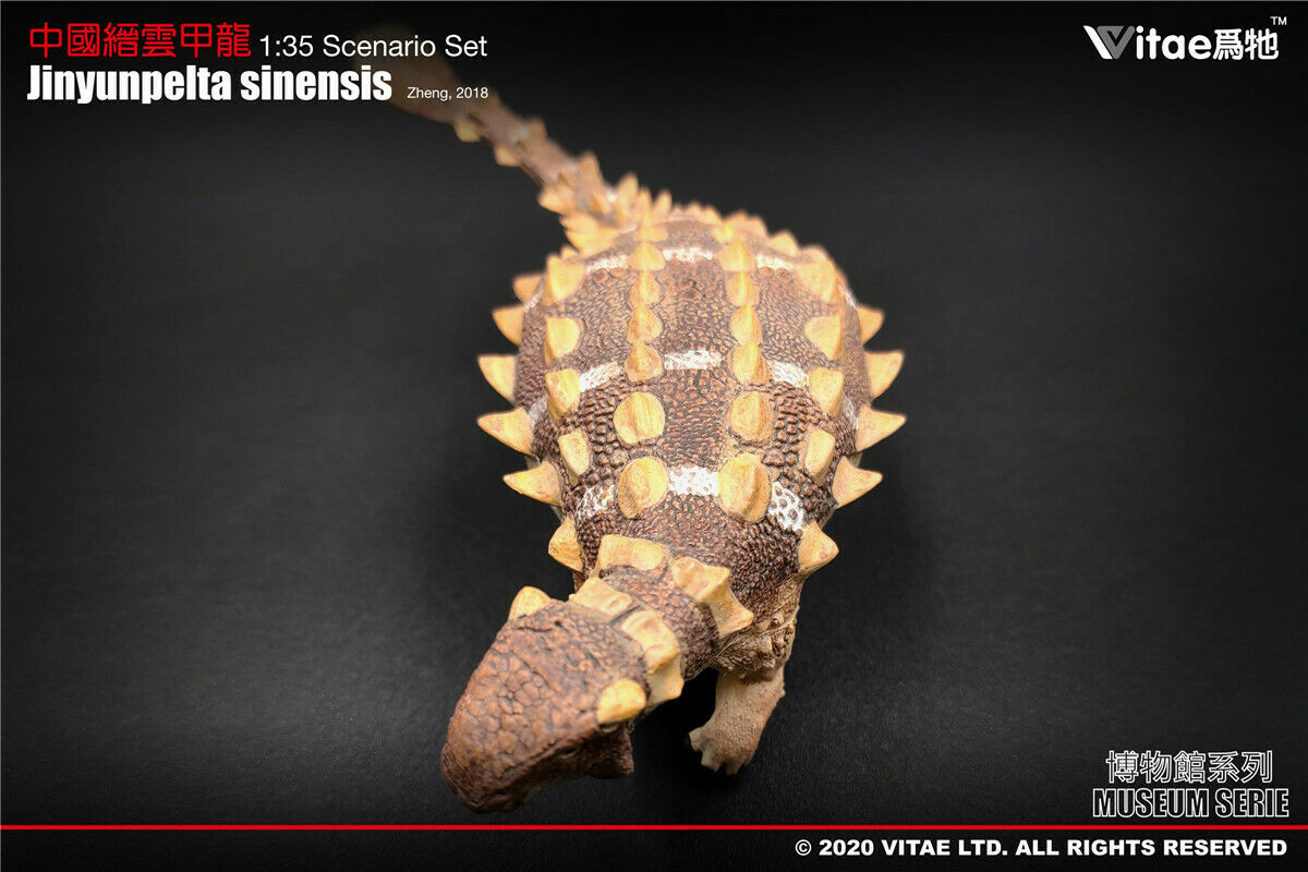Vitae 1:35 Scale Jinyunpelta Sinensis Model Ankylosaur Dinosaur Toys Animal Collector Animal Adults Gift