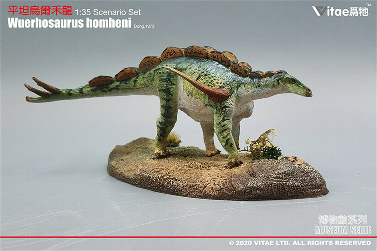 IN STOCK! Vitae 1:35 Scale Wuerhosaurus homheni Dong Figure Stegosaurus Dinosaur Toys Animal Collector Animal Adults Gift IN STOCK! Vitae 1:35 Scale Wuerhosaurus homheni Dong Figure Stegosaurus Dinosaur Toys Animal Collector Animal Adults Gift