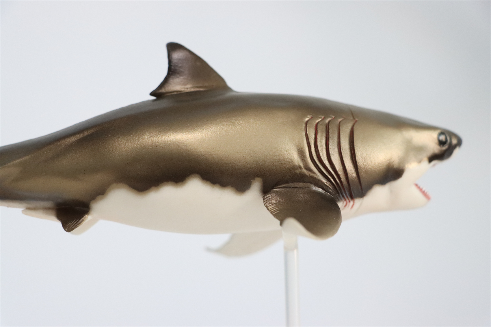 PNSO Prehistoric Dinosaur Model 54 Aidan The Cretoxyrhina Model Collector Science Education Mackerel Shark Animal Toys