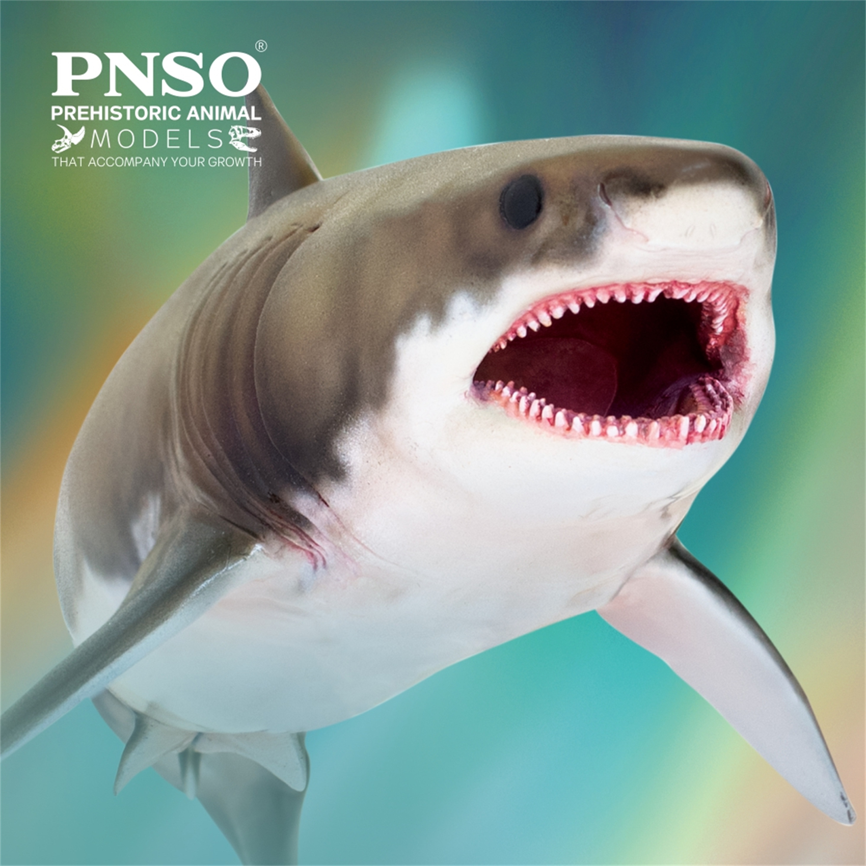 PNSO Prehistoric Dinosaur Model 54 Aidan The Cretoxyrhina Model Collector Science Education Mackerel Shark Animal Toys