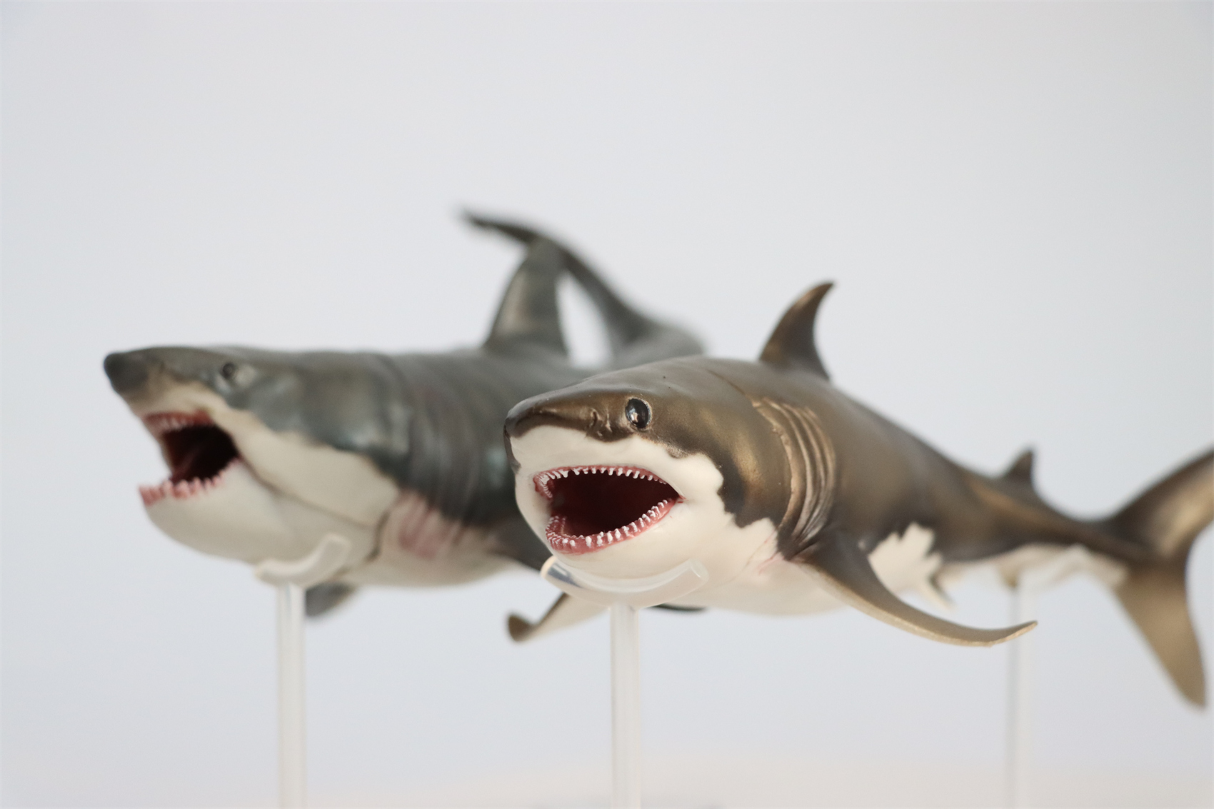 PNSO Prehistoric Dinosaur Model 54 Aidan The Cretoxyrhina Model Collector Science Education Mackerel Shark Animal Toys