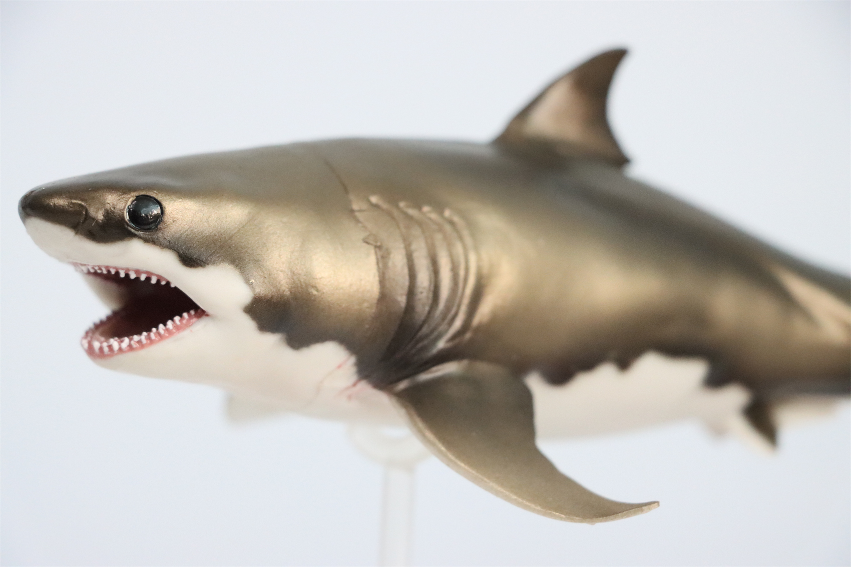 PNSO Prehistoric Dinosaur Model 54 Aidan The Cretoxyrhina Model Collector Science Education Mackerel Shark Animal Toys