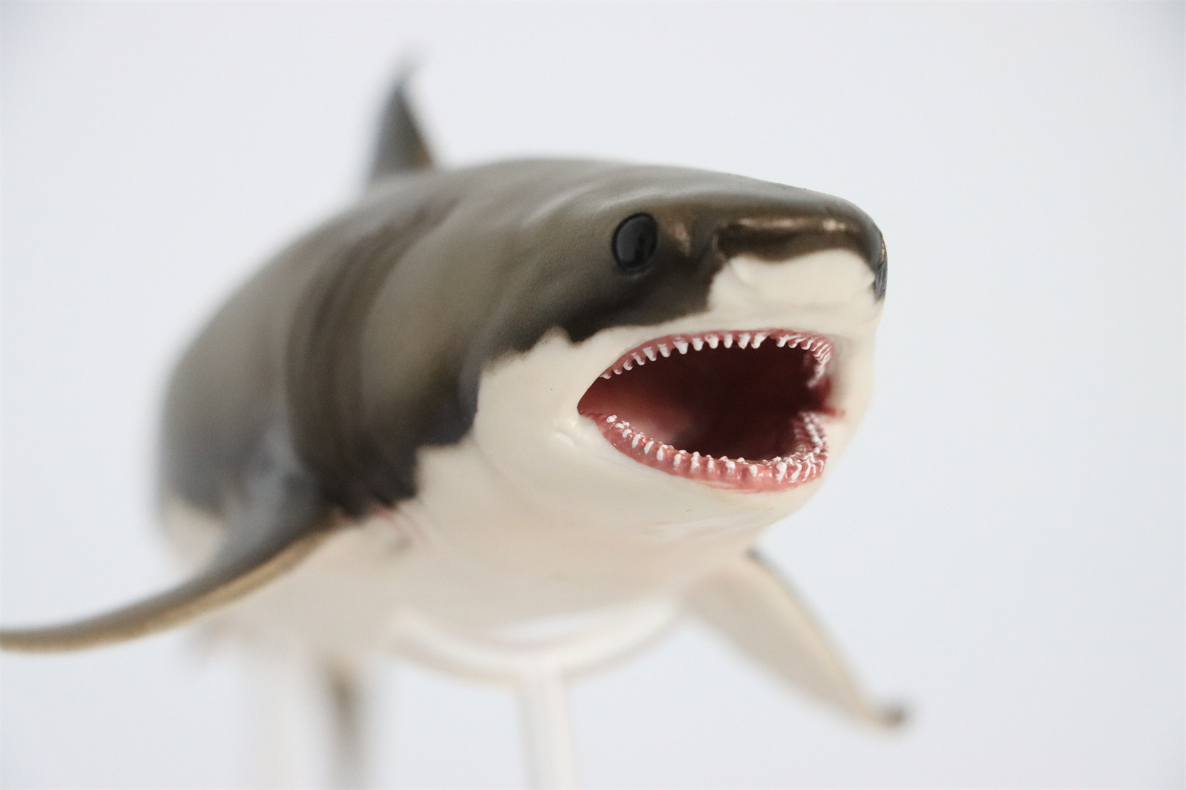 PNSO Prehistoric Dinosaur Model 54 Aidan The Cretoxyrhina Model Collector Science Education Mackerel Shark Animal Toys