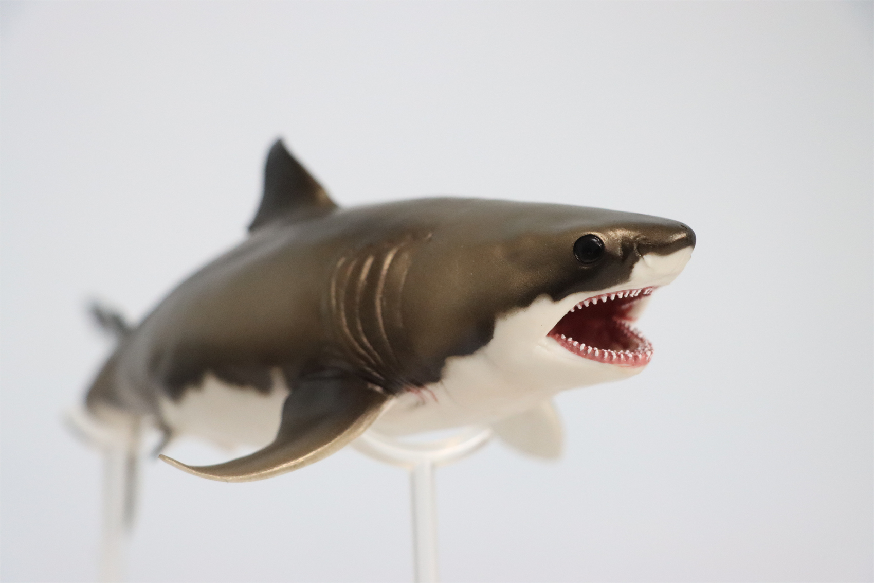 PNSO Prehistoric Dinosaur Model 54 Aidan The Cretoxyrhina Model Collector Science Education Mackerel Shark Animal Toys