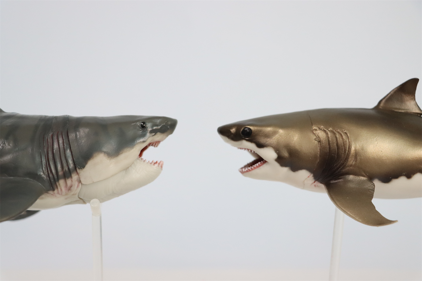 PNSO Prehistoric Dinosaur Model 54 Aidan The Cretoxyrhina Model Collector Science Education Mackerel Shark Animal Toys