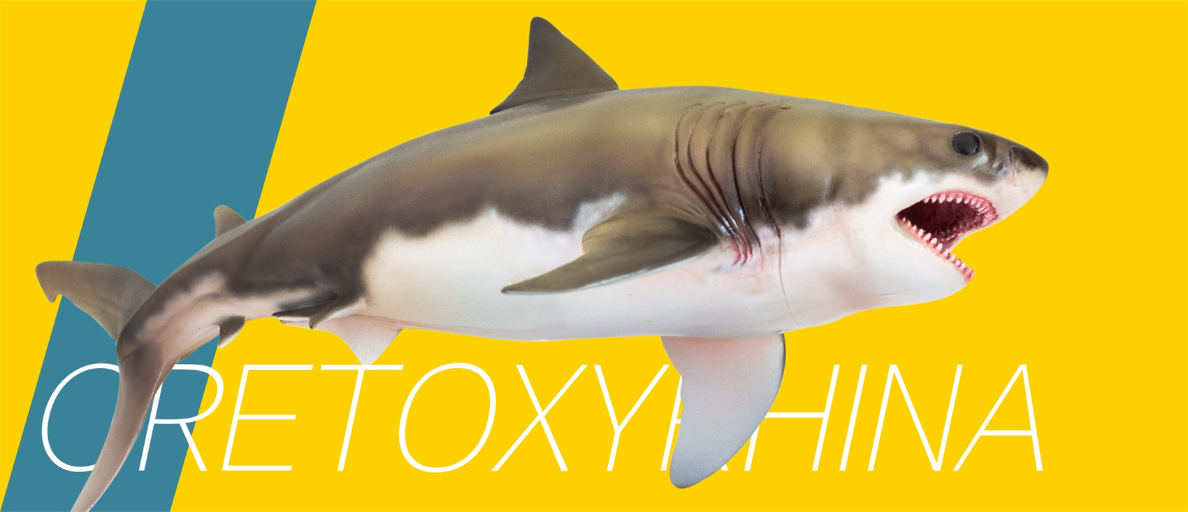 PNSO Prehistoric Dinosaur Model 54 Aidan The Cretoxyrhina Model Collector Science Education Mackerel Shark Animal Toys