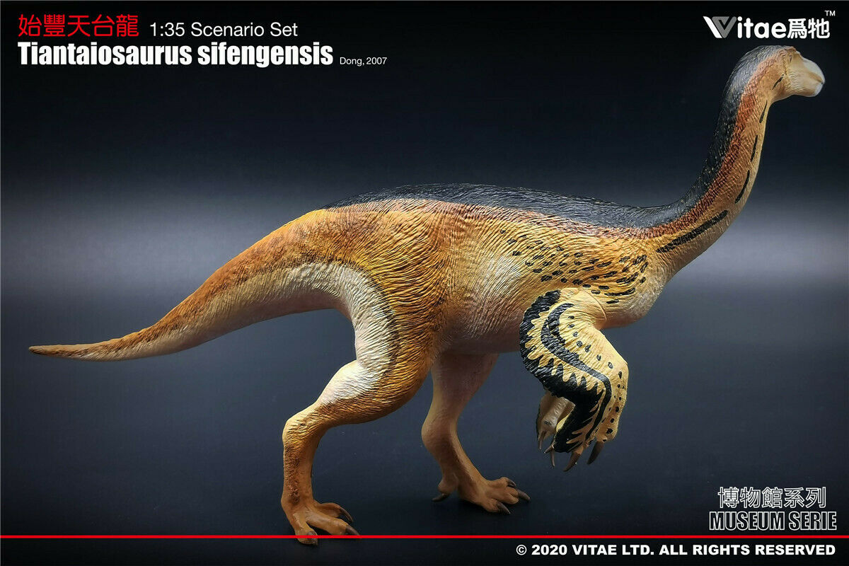 Vitae 1:35 Scale Tiantaiosaurus sifengensis Dong Model Dinosaur Toys Animal Collector Animal Adults Gift