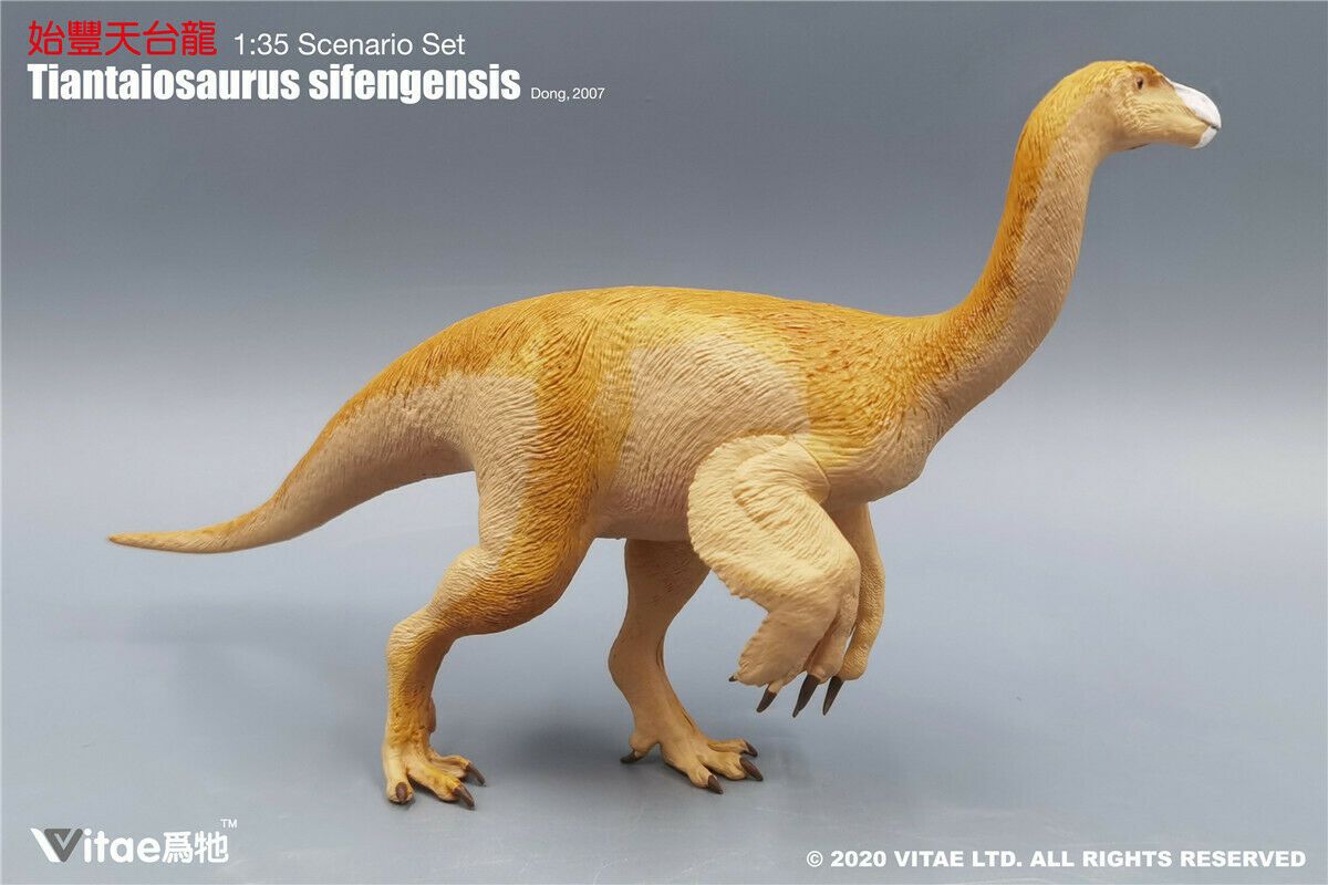 Vitae 1:35 Scale Tiantaiosaurus sifengensis Dong Model Dinosaur Toys Animal Collector Animal Adults Gift