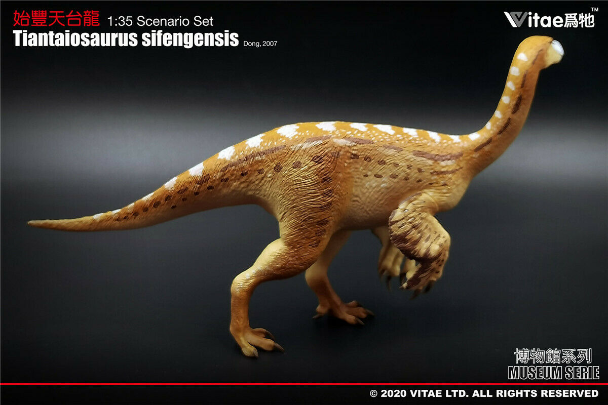 Vitae 1:35 Scale Tiantaiosaurus sifengensis Dong Model Dinosaur Toys Animal Collector Animal Adults Gift