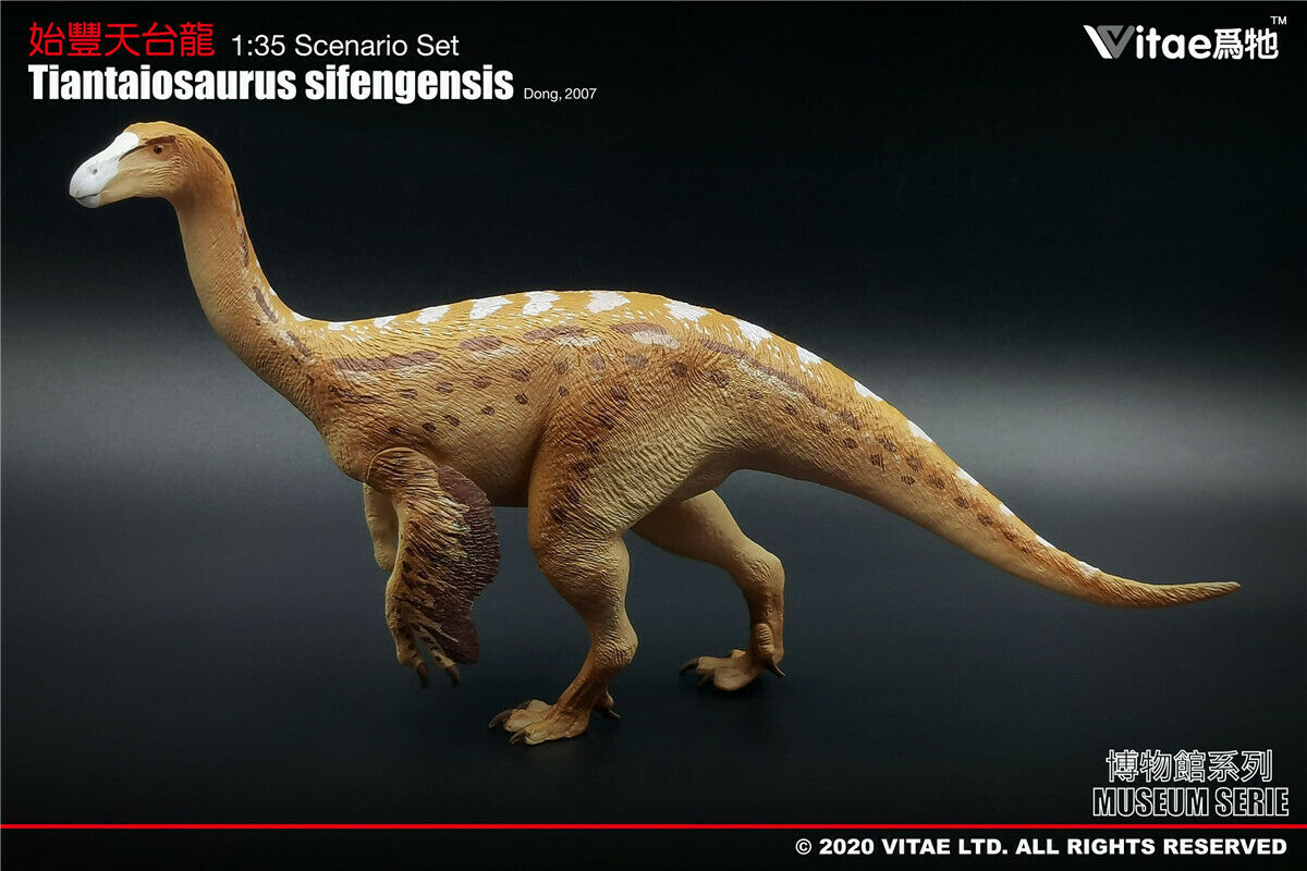 Vitae 1:35 Scale Tiantaiosaurus sifengensis Dong Model Dinosaur Toys Animal Collector Animal Adults Gift